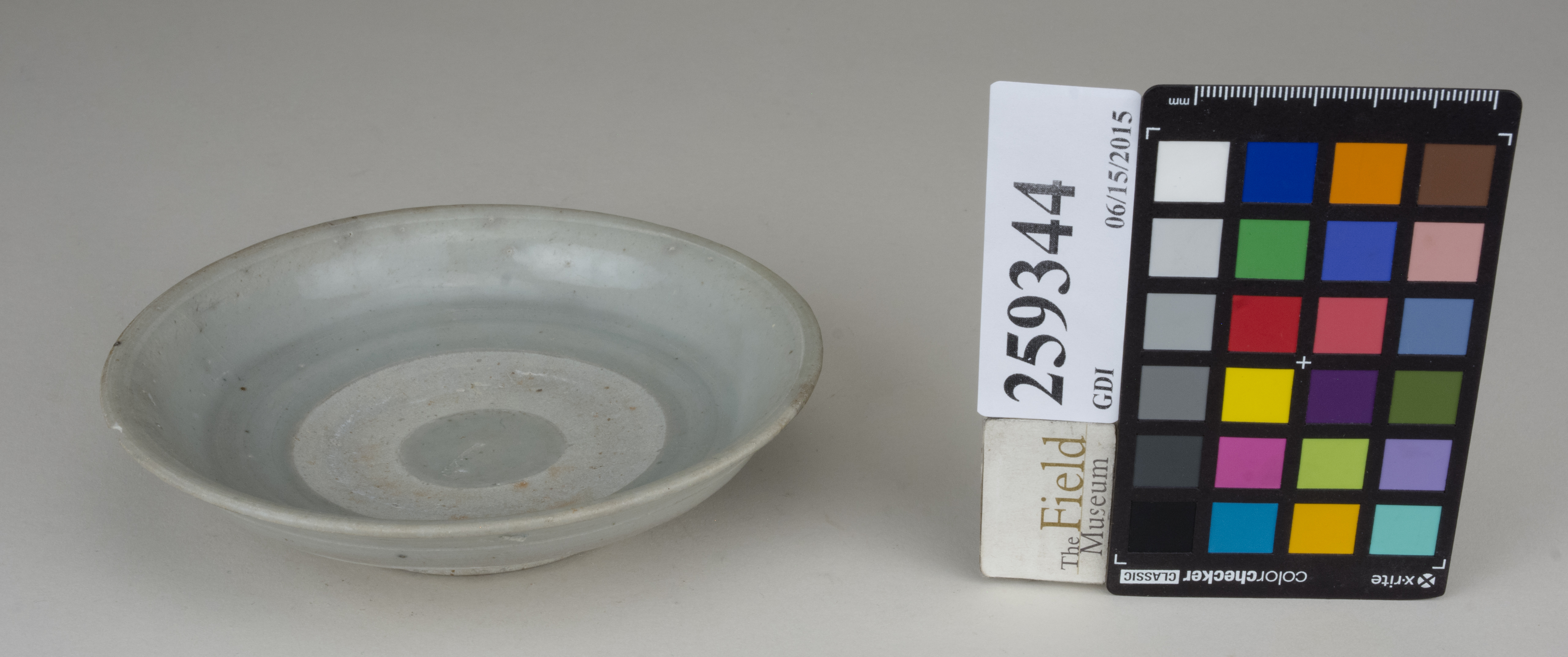 FrontAngle (c) Field Museum of Natural History - CC BY-NC 4.0