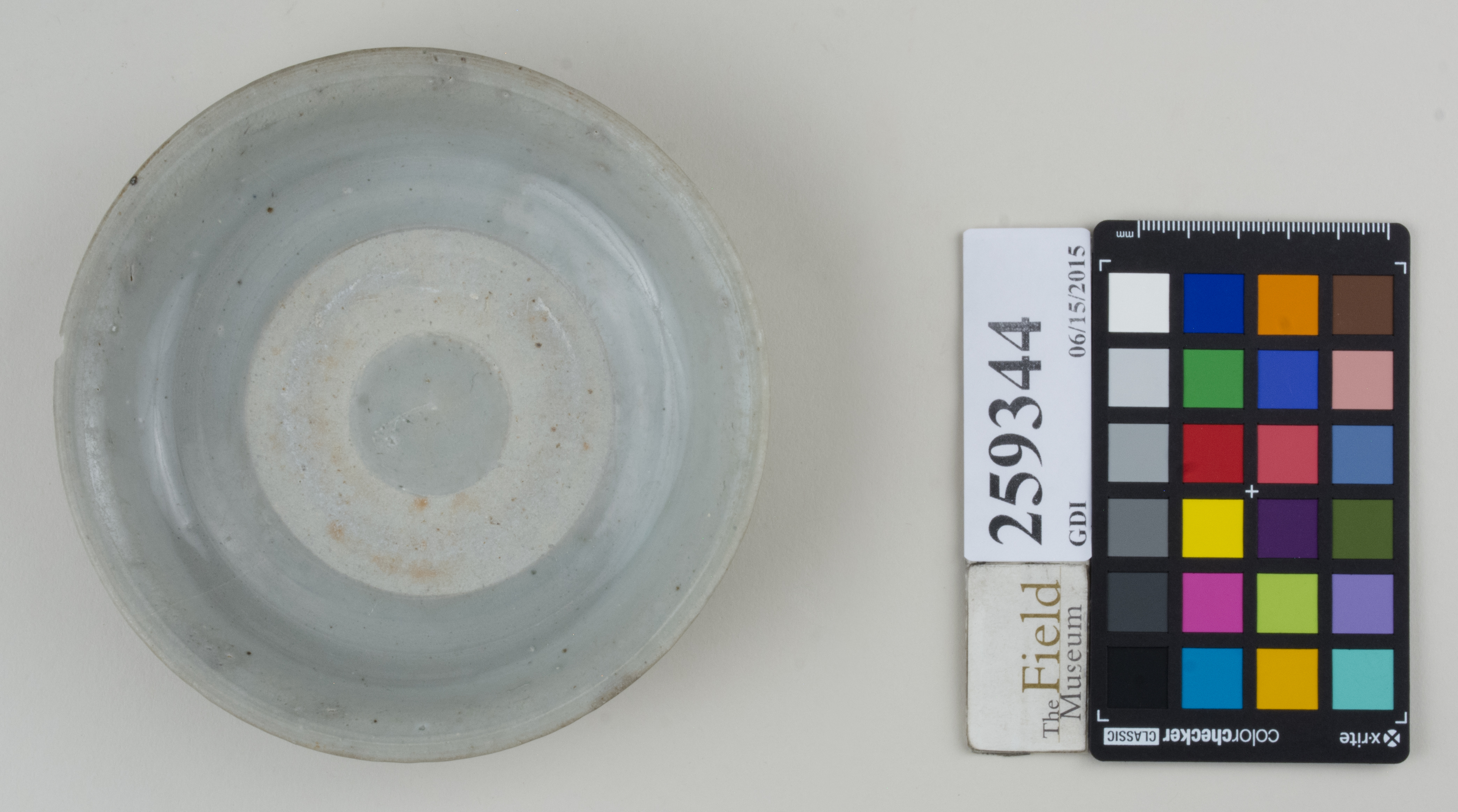 Top (c) Field Museum of Natural History - CC BY-NC 4.0