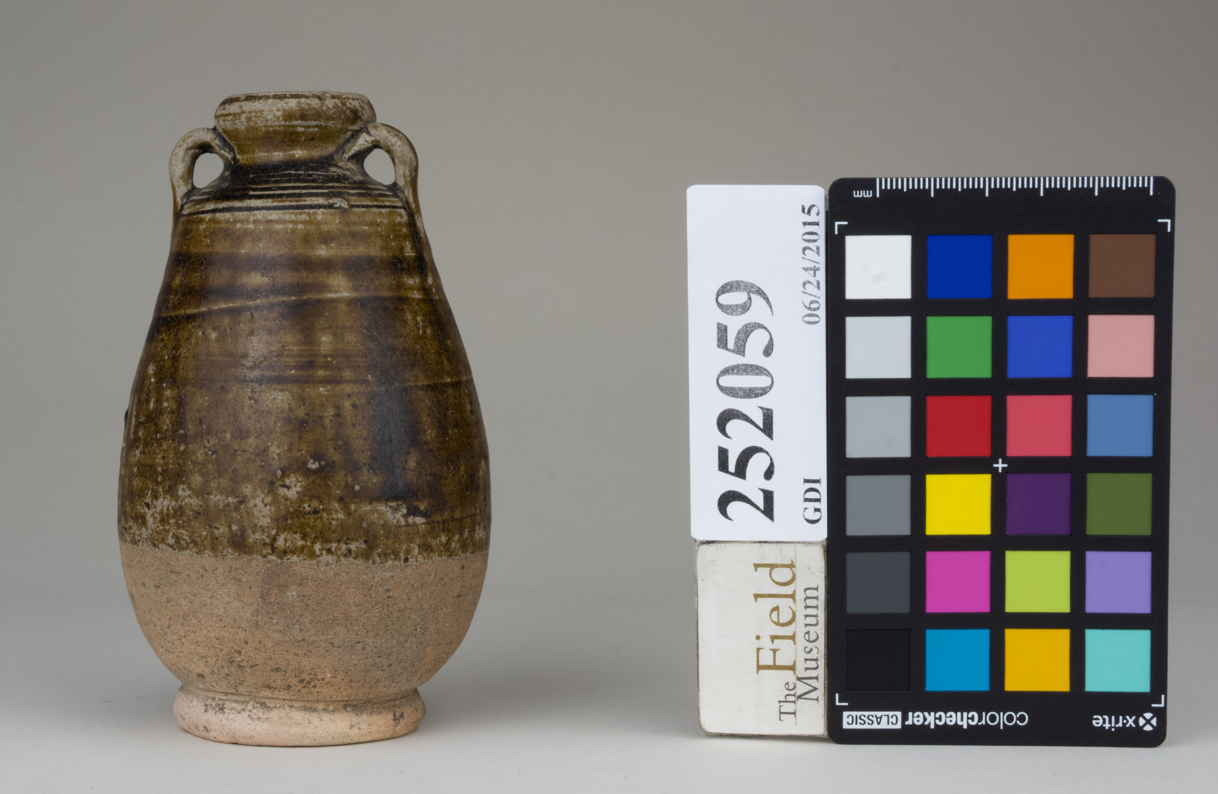 reference image, back (c) Field Museum of Natural History - CC BY-NC 4.0