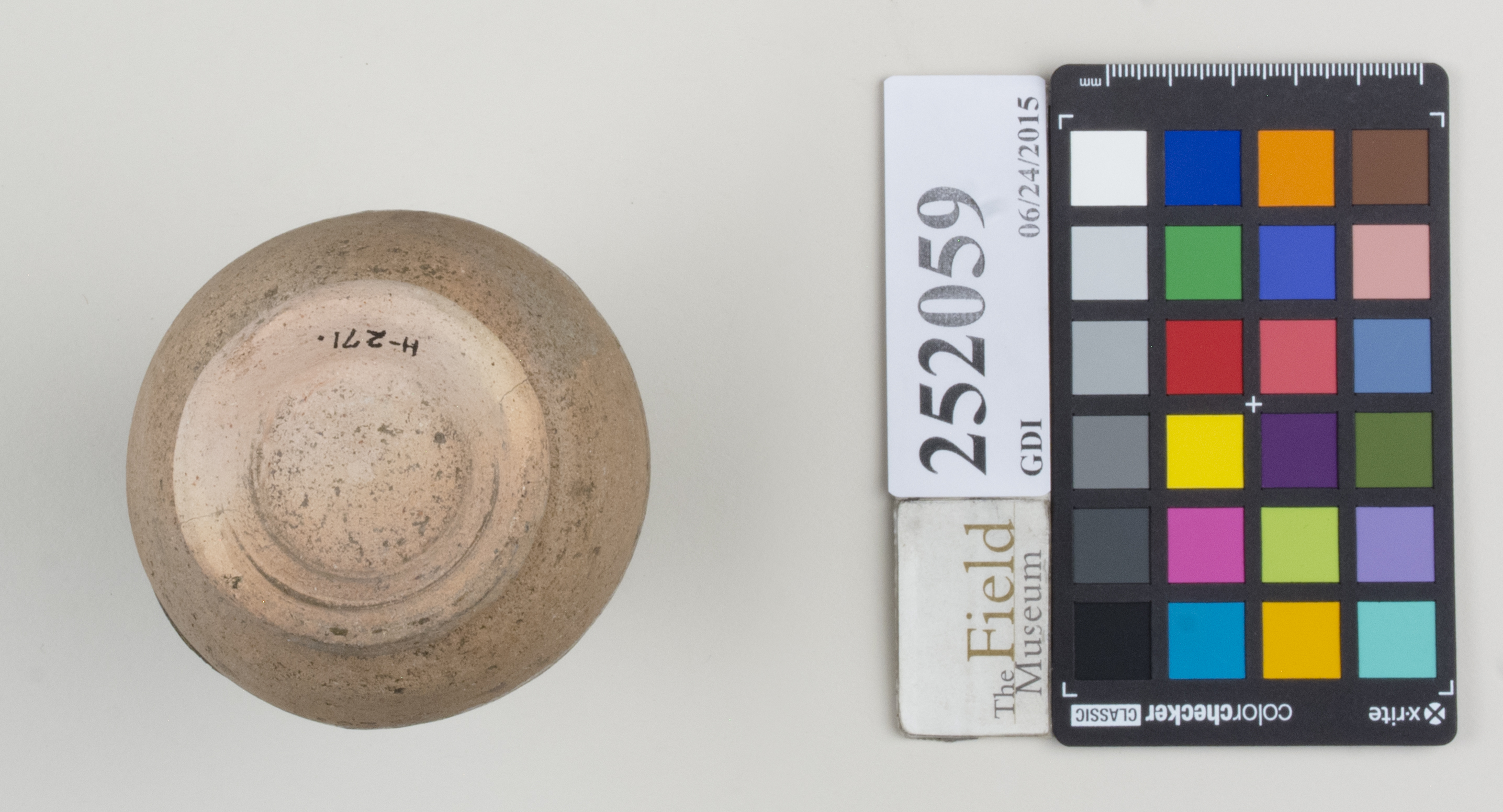 Bottom (c) Field Museum of Natural History - CC BY-NC 4.0