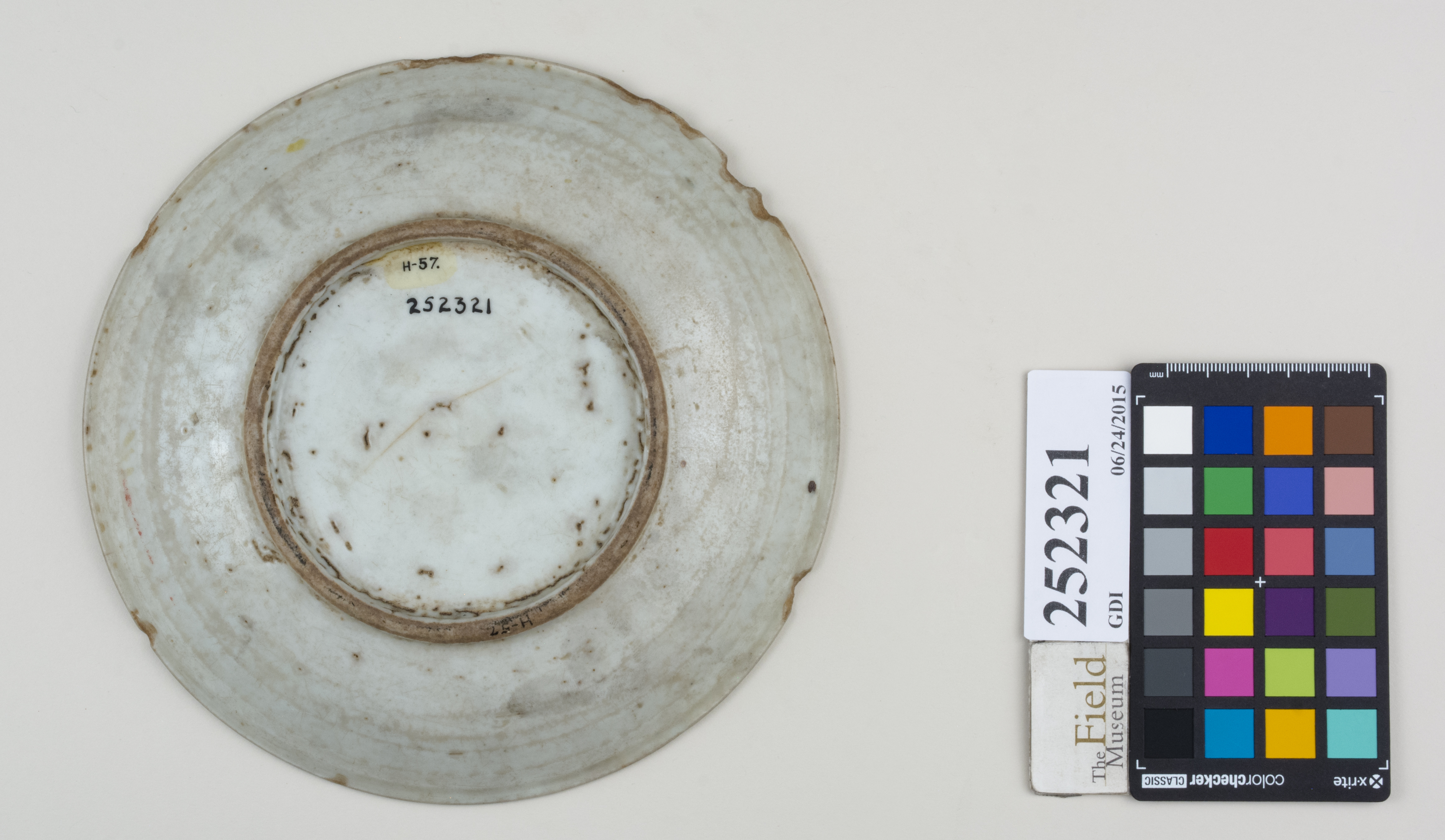 Bottom (c) Field Museum of Natural History - CC BY-NC 4.0