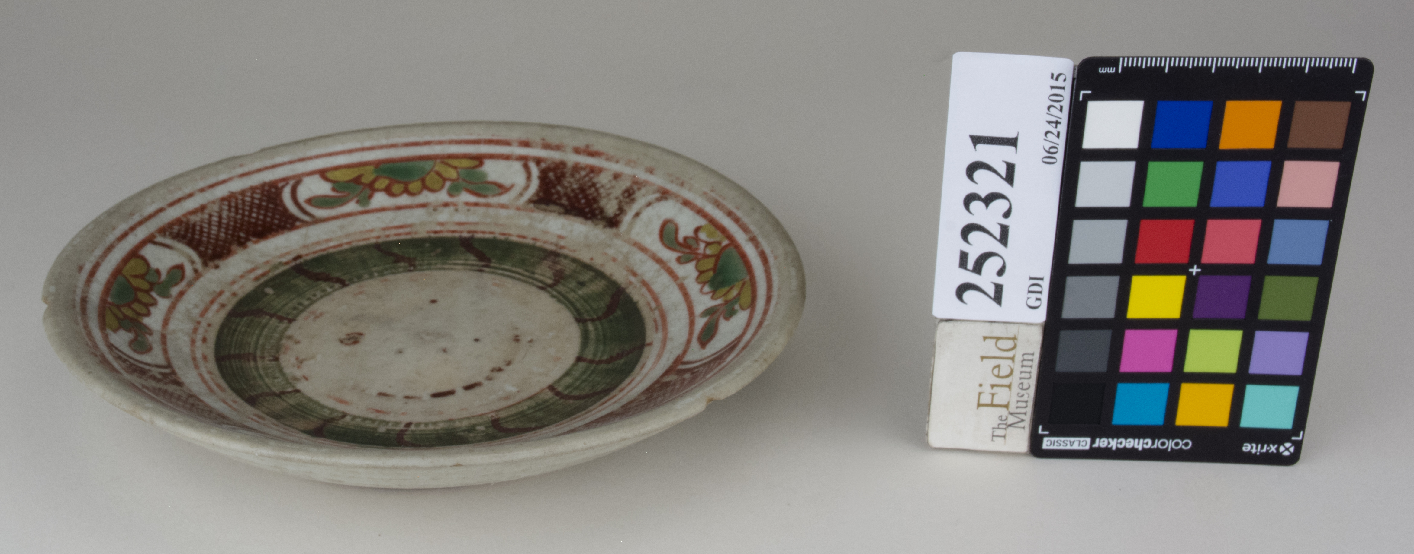 FrontAngle (c) Field Museum of Natural History - CC BY-NC 4.0