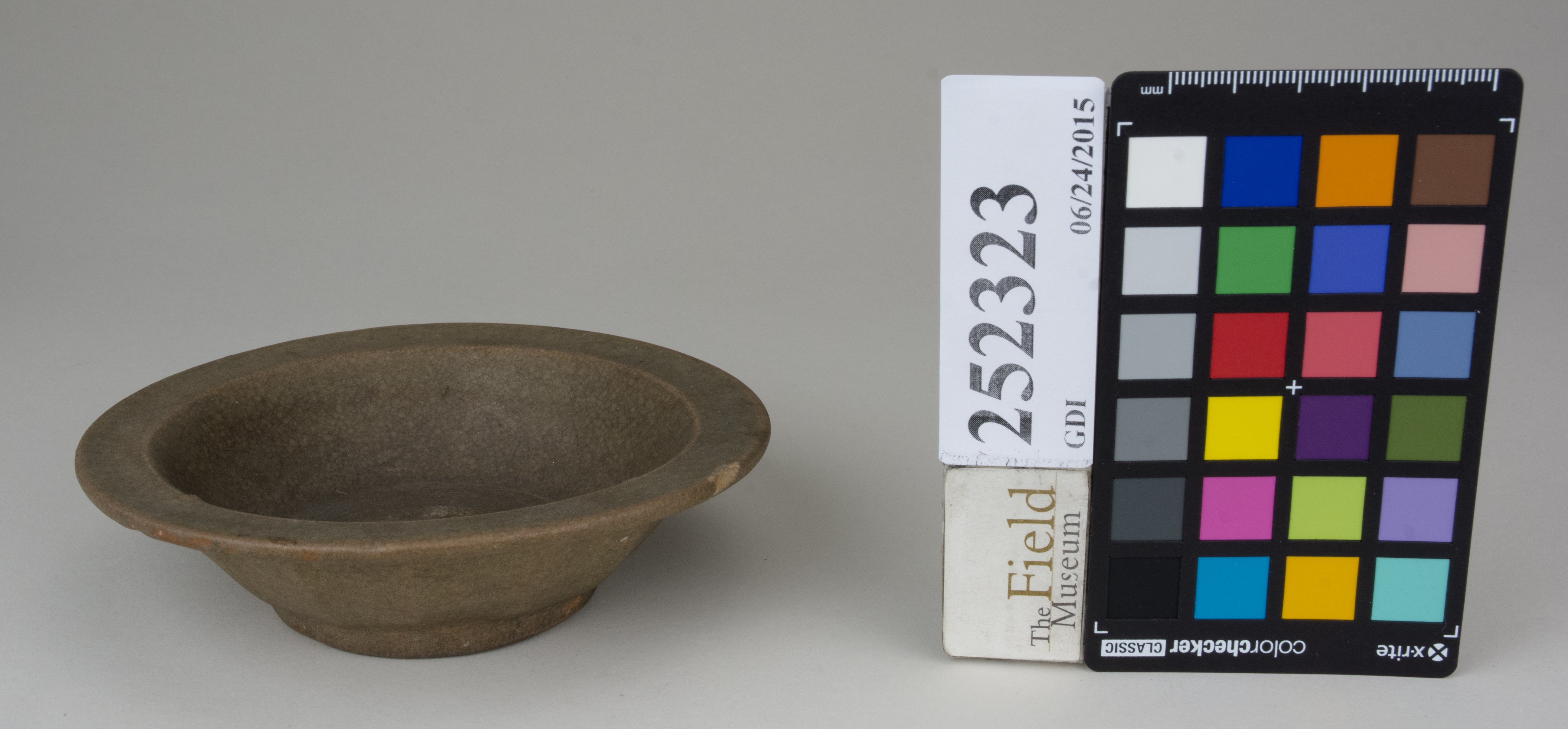 FrontAngle (c) Field Museum of Natural History - CC BY-NC 4.0