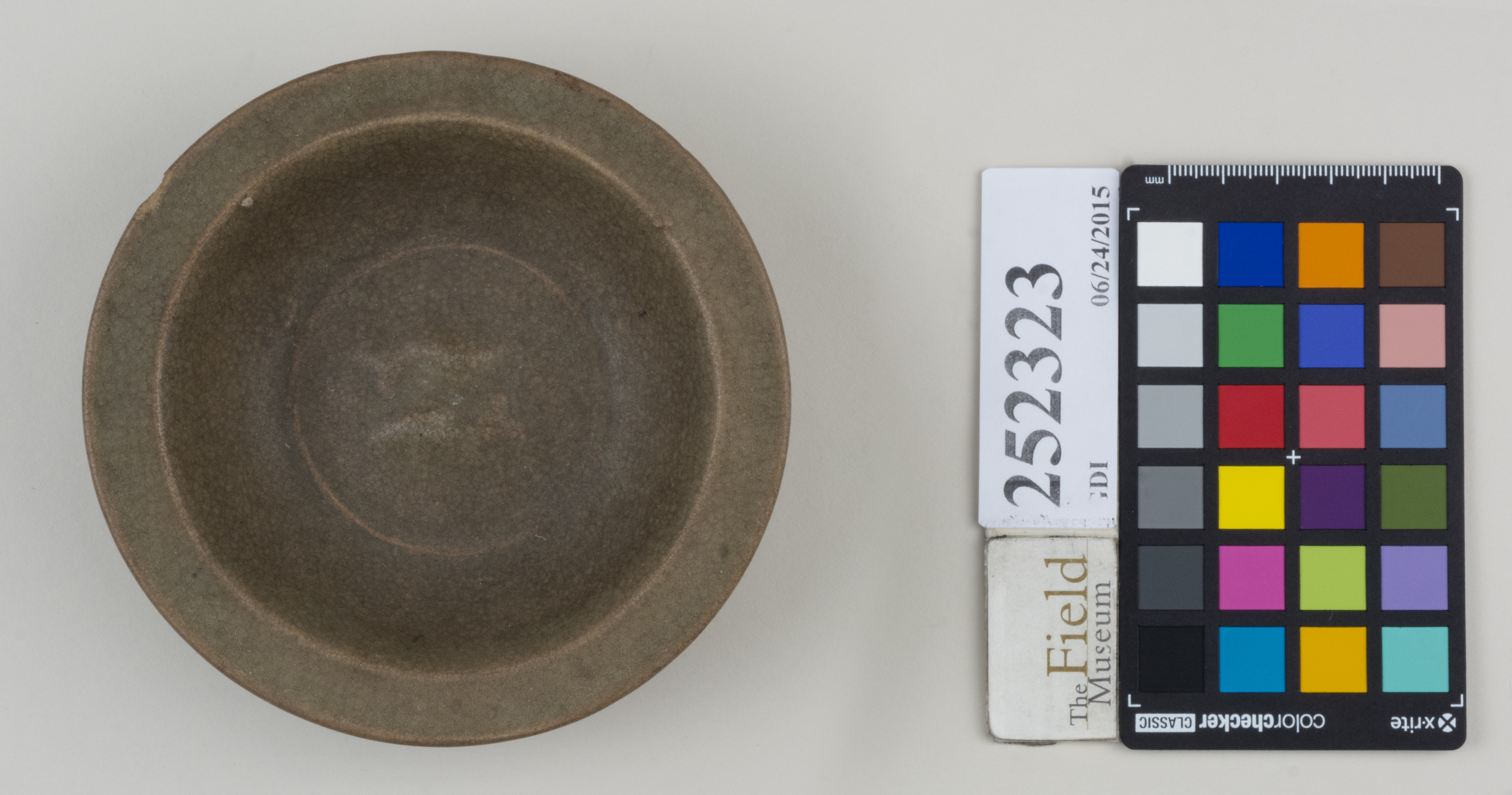 Top (c) Field Museum of Natural History - CC BY-NC 4.0