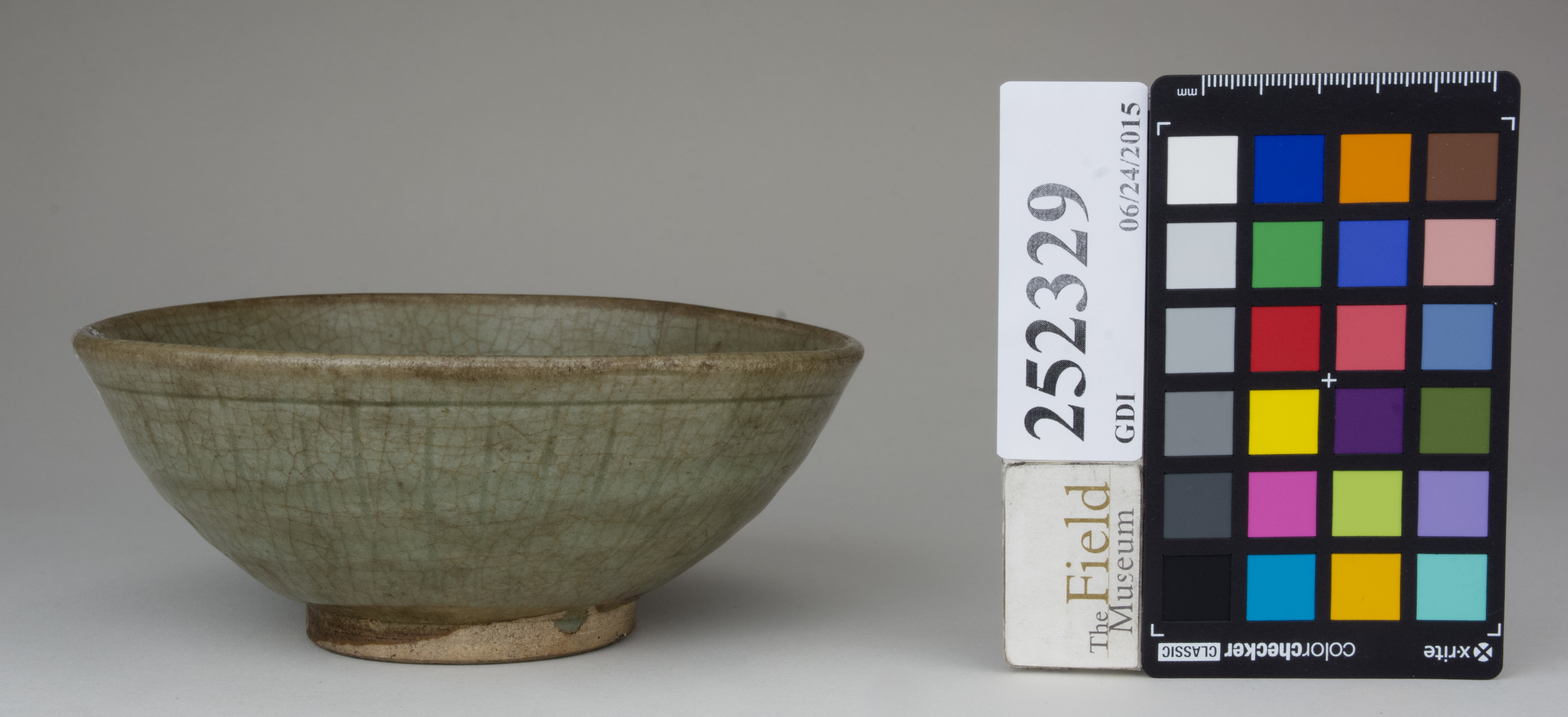 reference image, back (c) Field Museum of Natural History - CC BY-NC 4.0