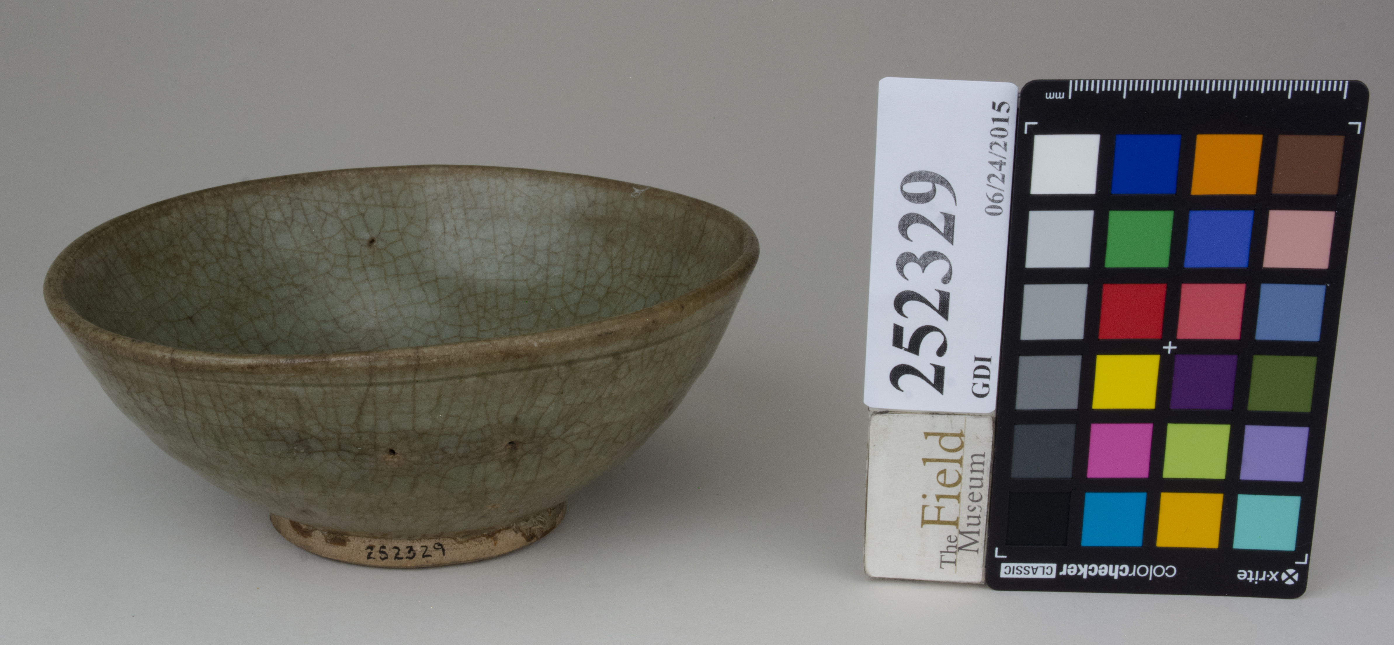 FrontAngle (c) Field Museum of Natural History - CC BY-NC 4.0