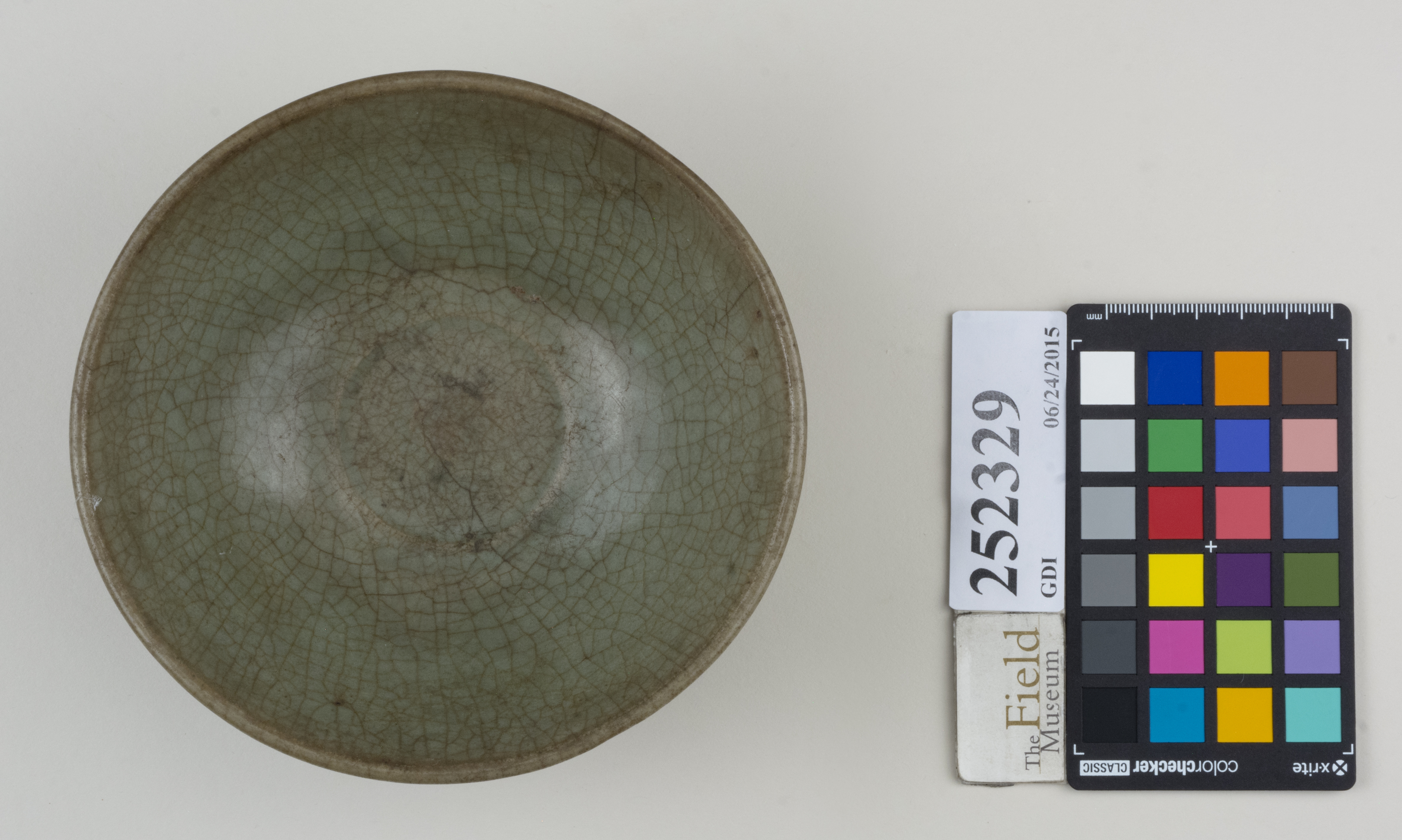 Top (c) Field Museum of Natural History - CC BY-NC 4.0