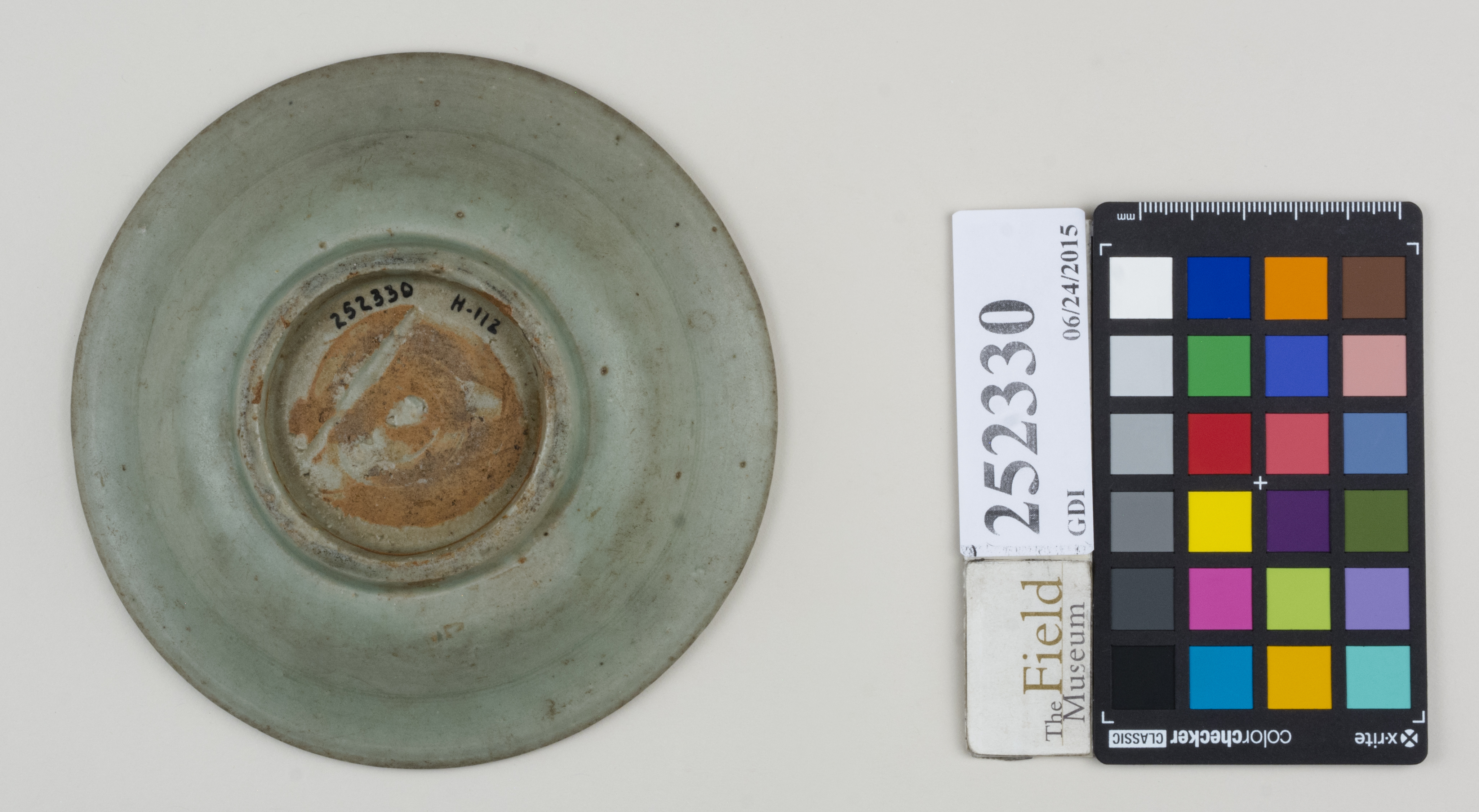 Bottom (c) Field Museum of Natural History - CC BY-NC 4.0