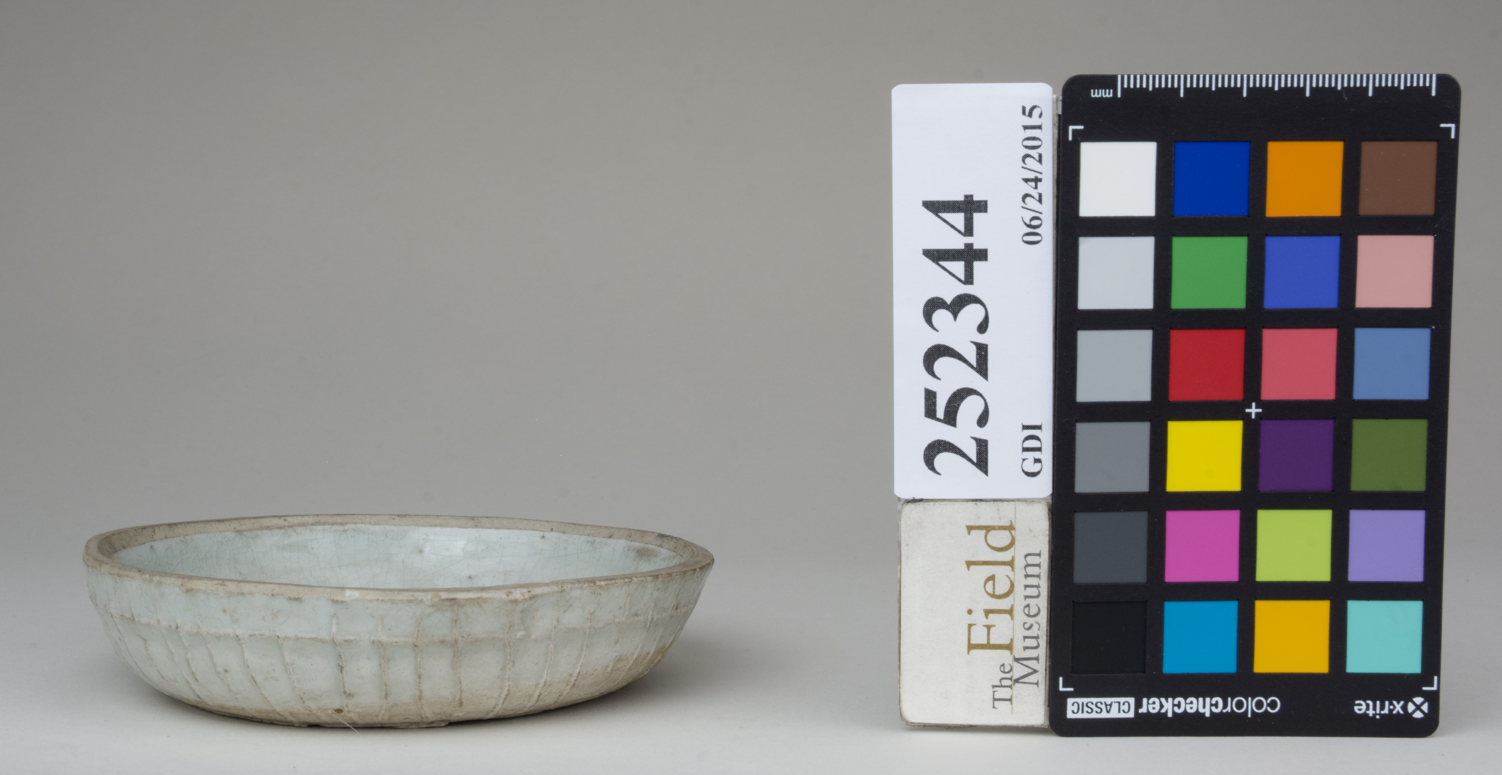 reference image, back (c) Field Museum of Natural History - CC BY-NC 4.0