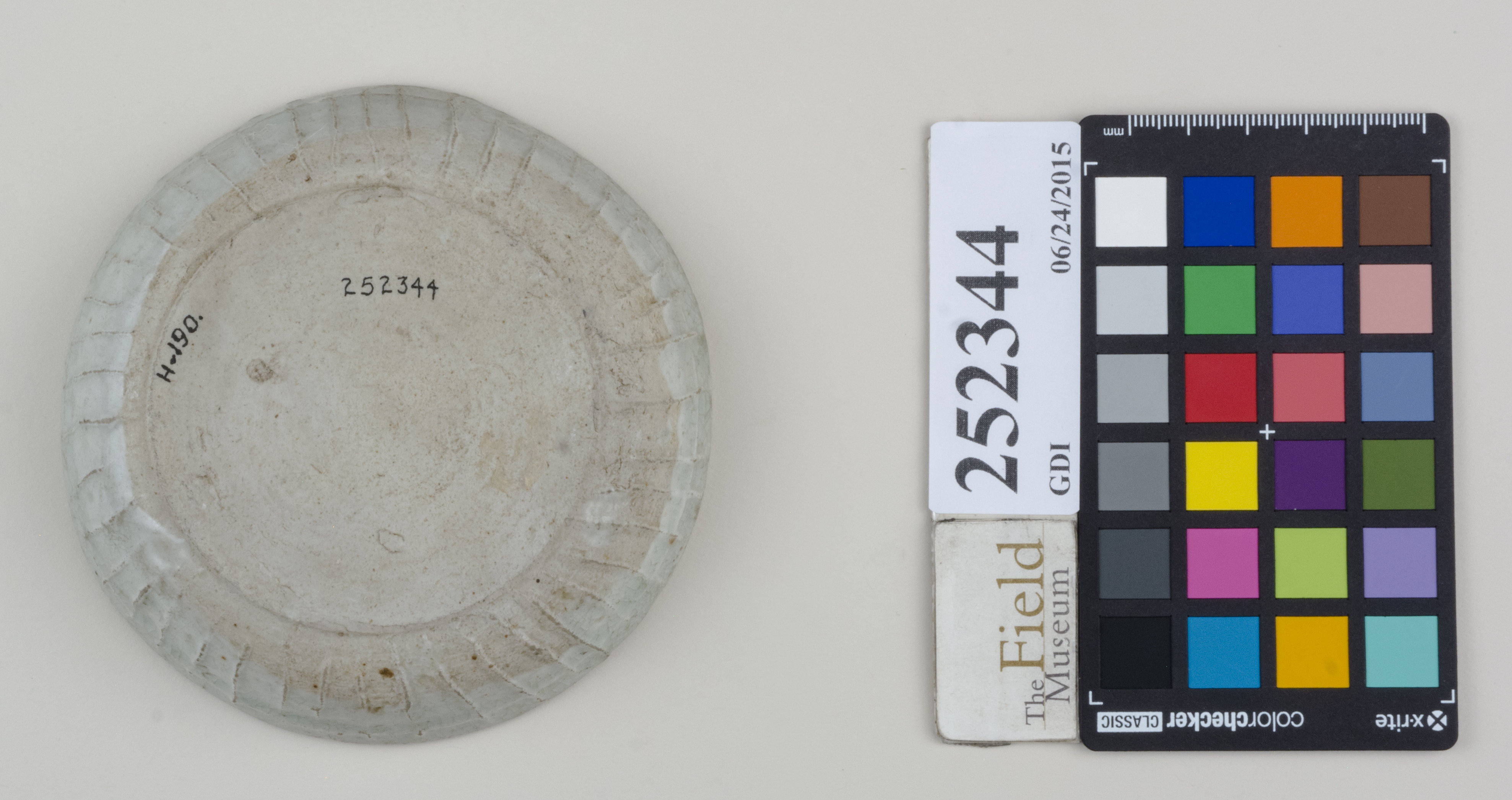 Bottom (c) Field Museum of Natural History - CC BY-NC 4.0