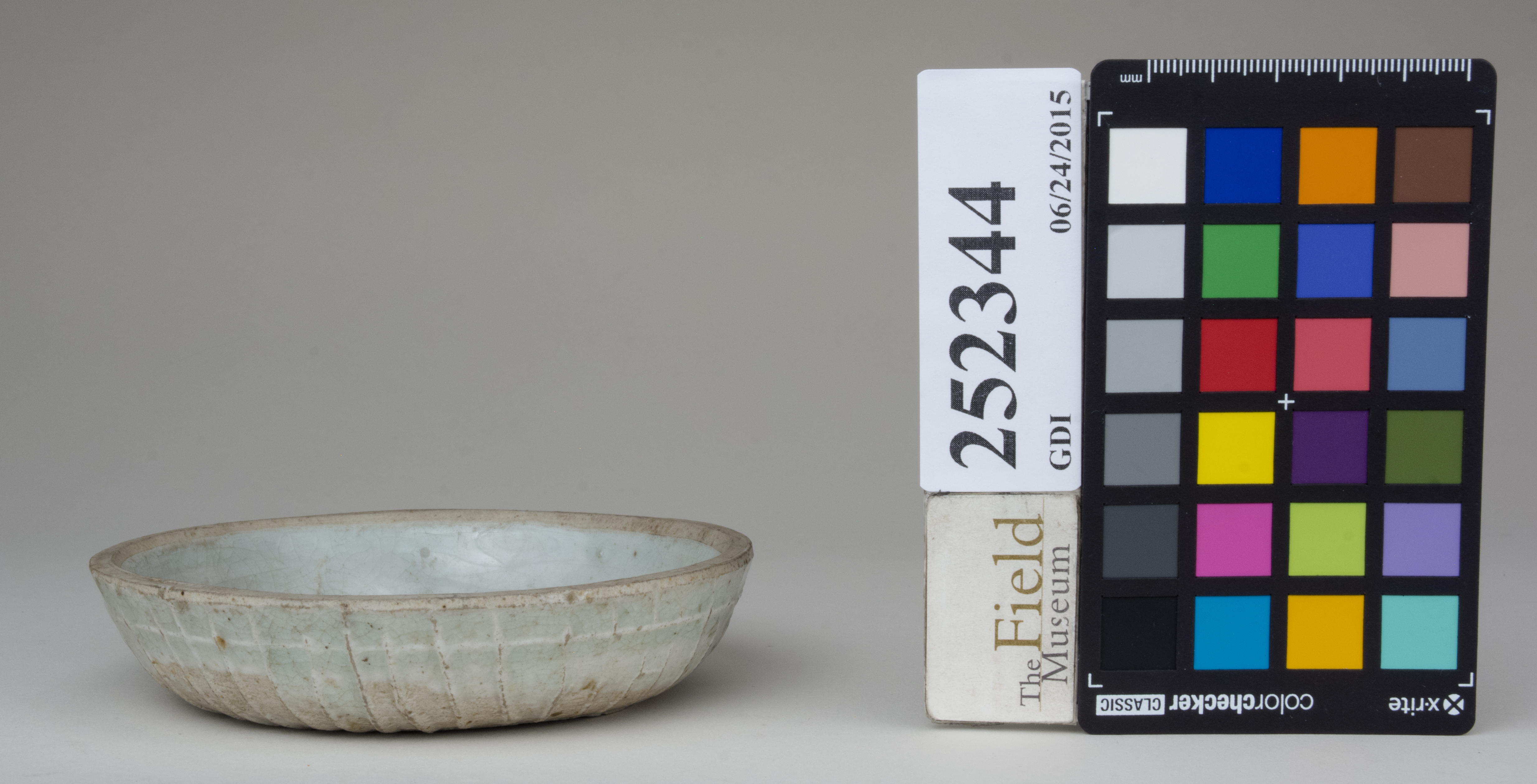 Front (c) Field Museum of Natural History - CC BY-NC 4.0