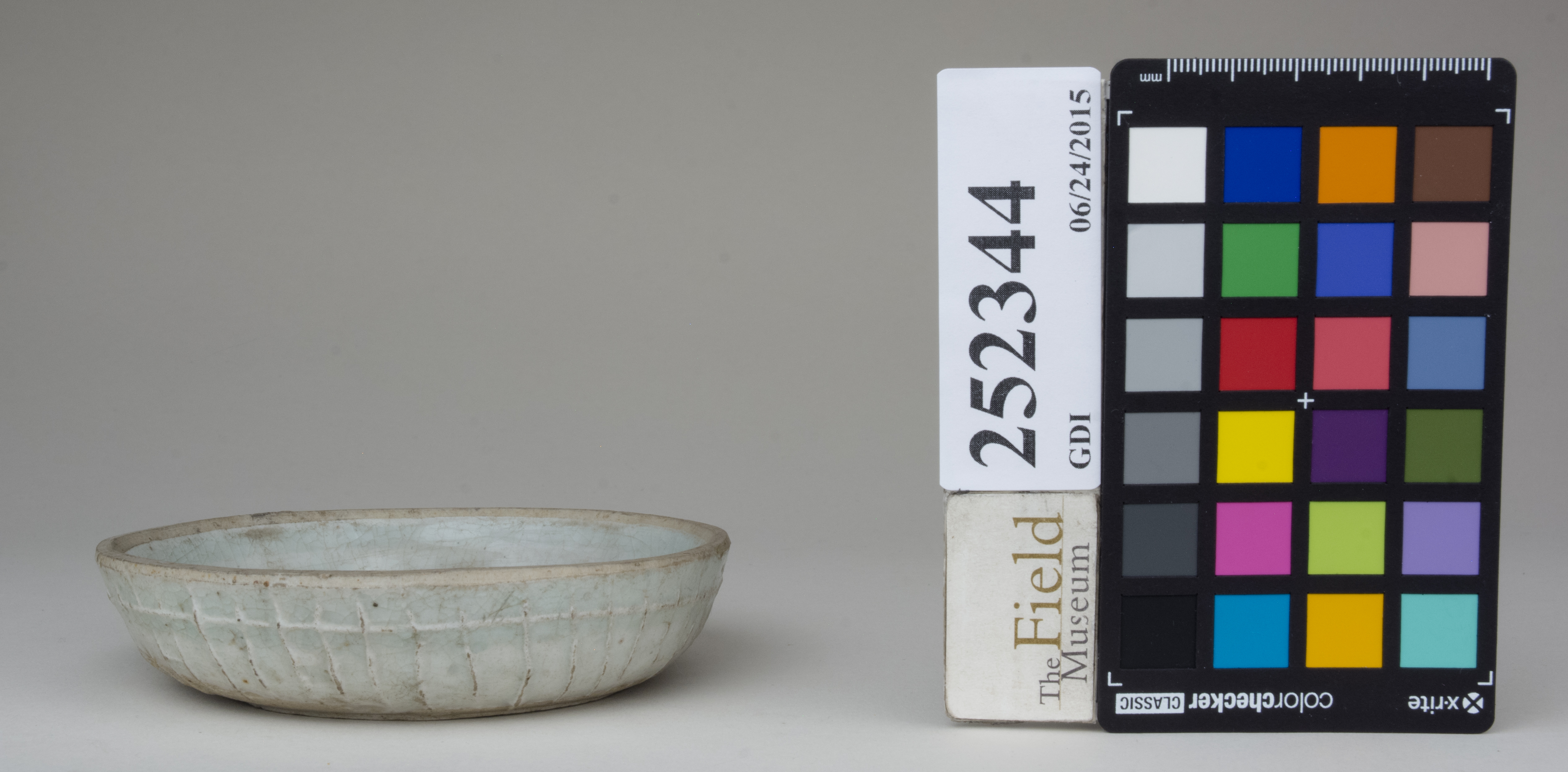 Left (c) Field Museum of Natural History - CC BY-NC 4.0