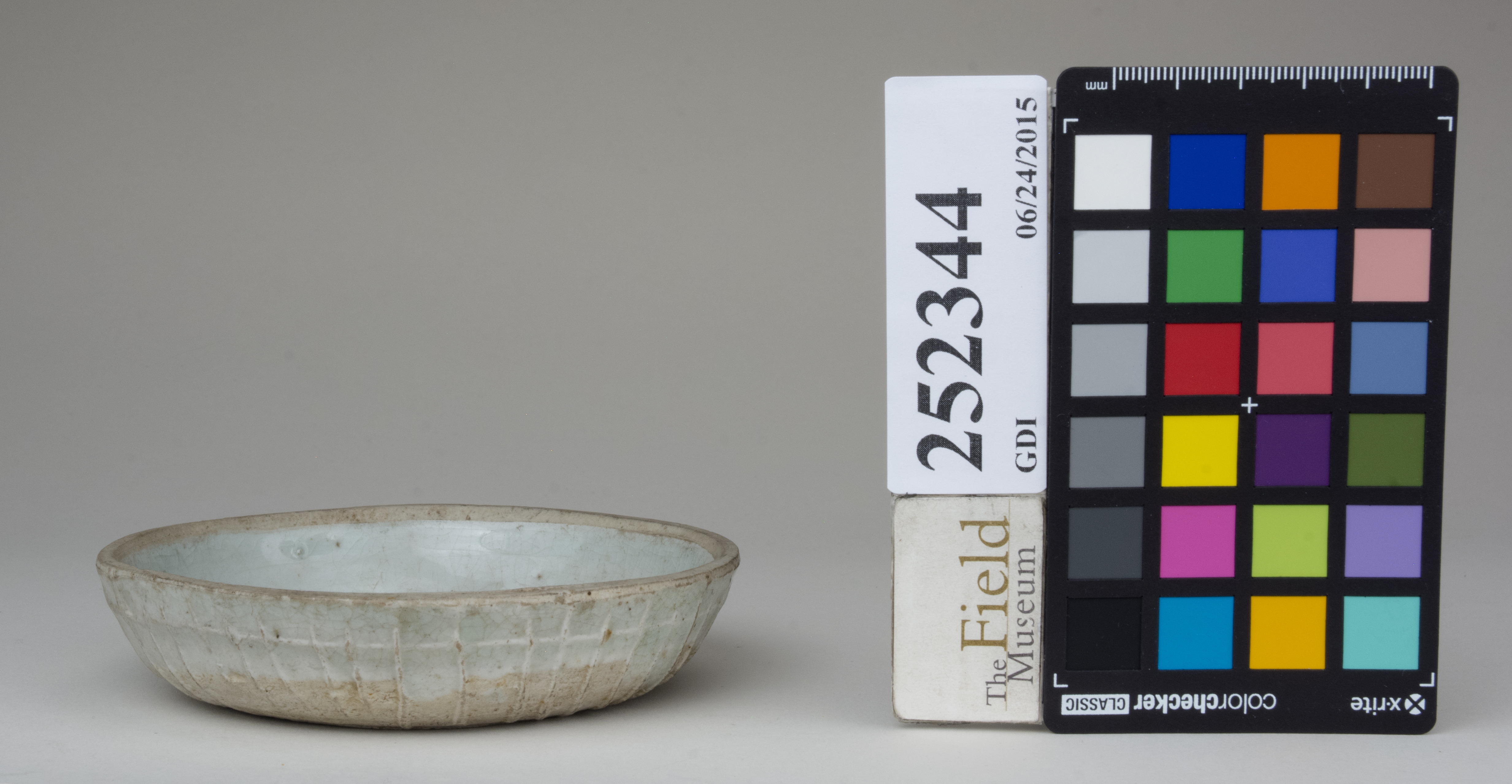 Right (c) Field Museum of Natural History - CC BY-NC 4.0