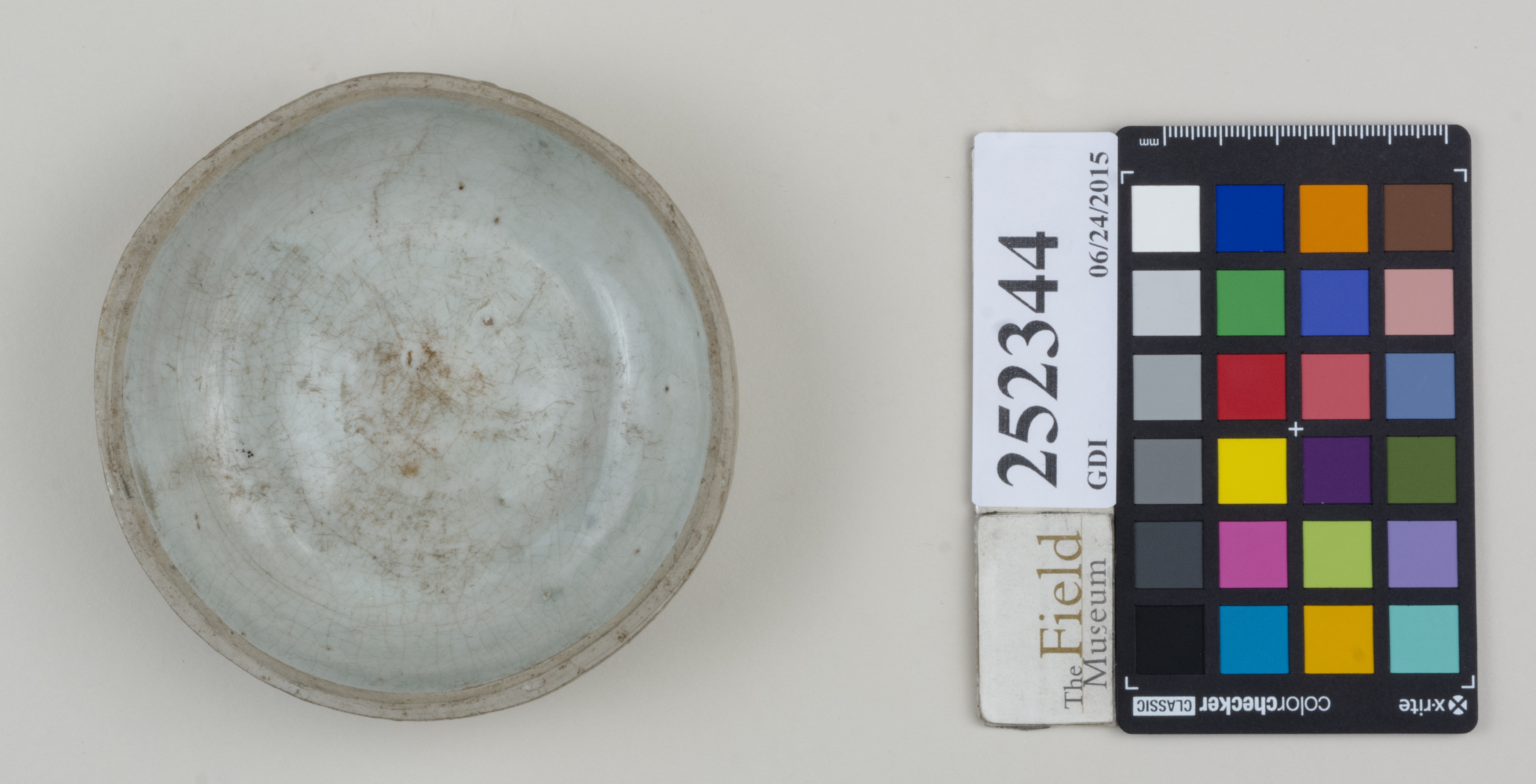 Top (c) Field Museum of Natural History - CC BY-NC 4.0