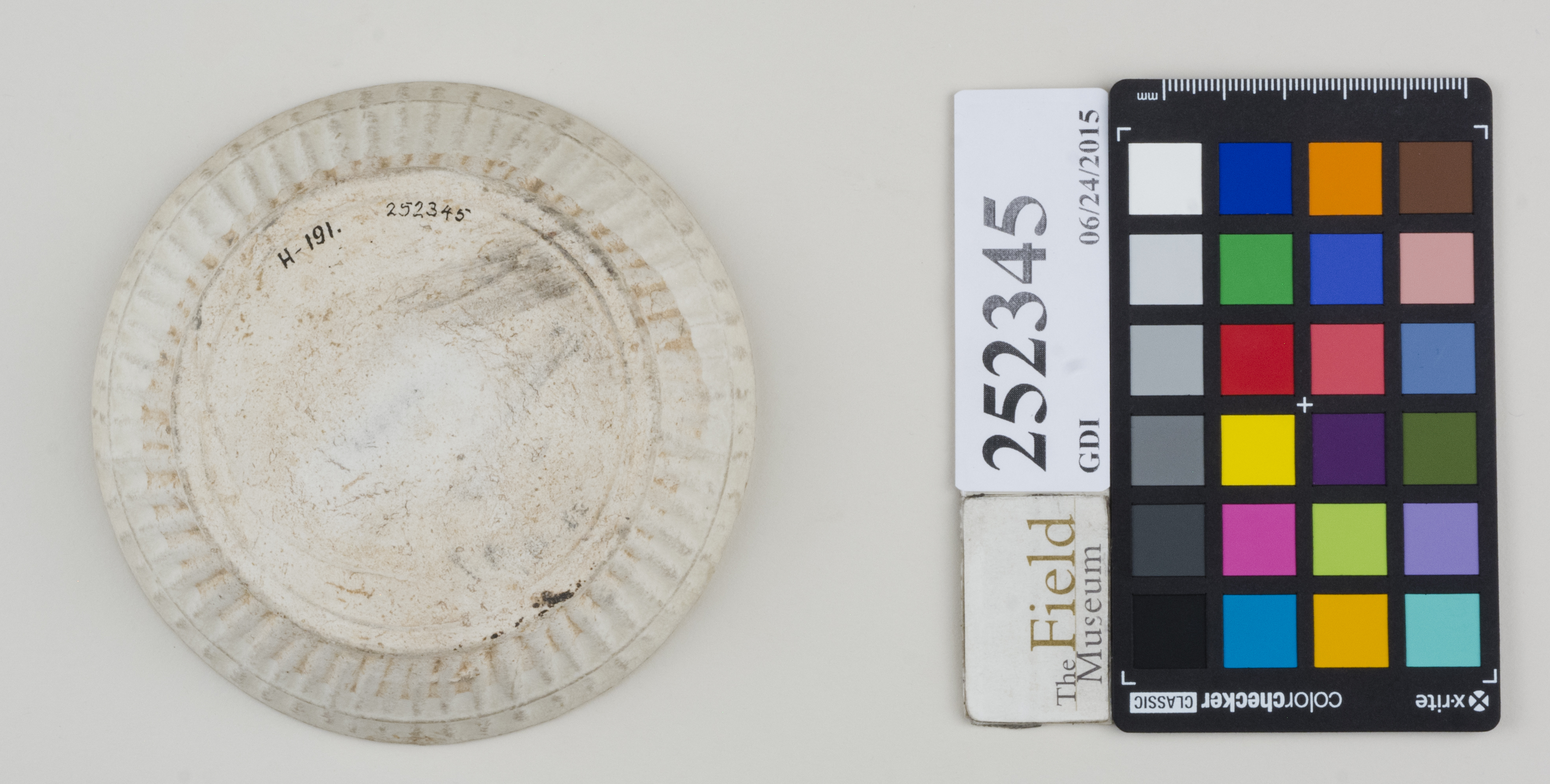 Bottom (c) Field Museum of Natural History - CC BY-NC 4.0