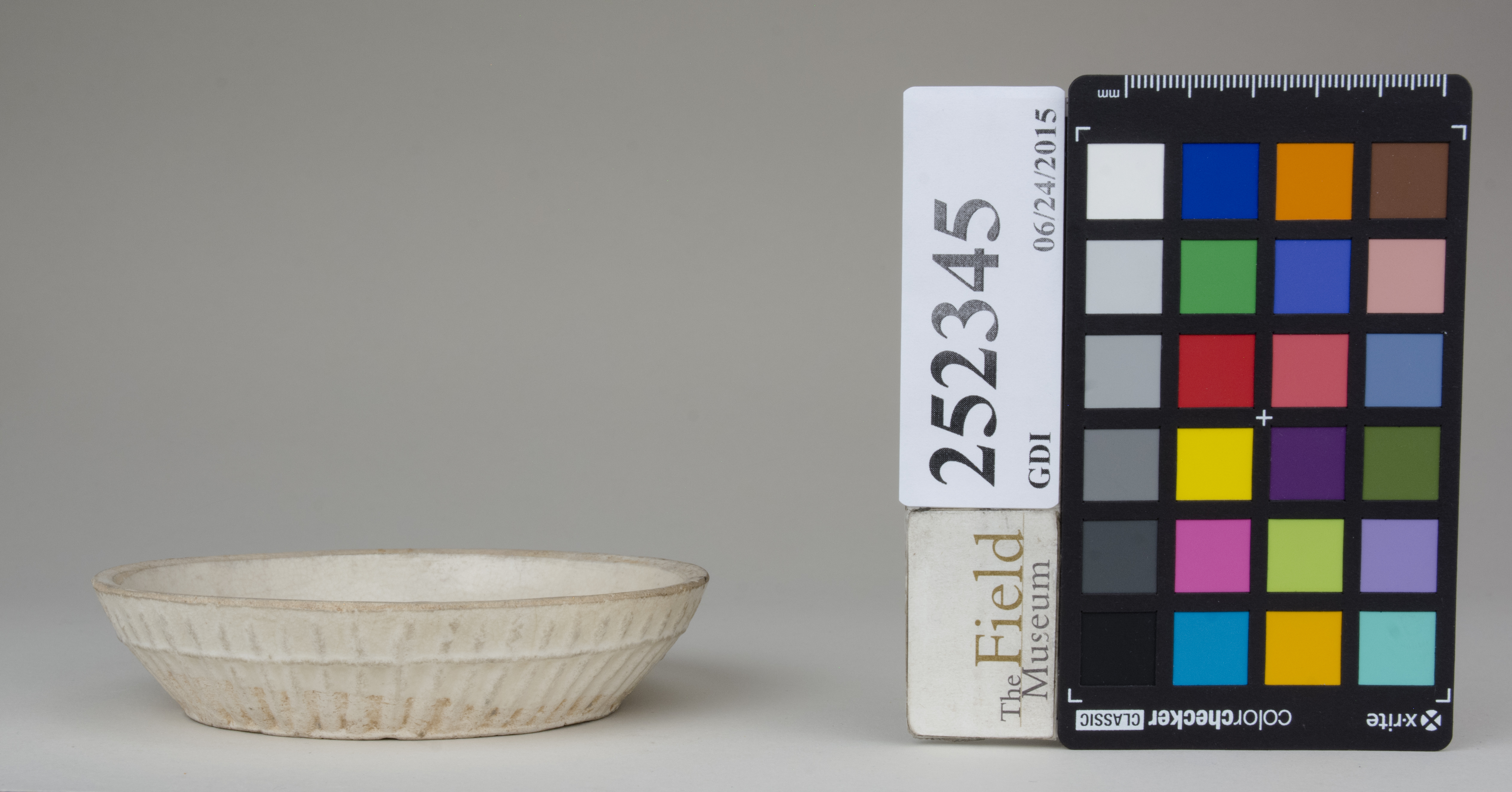 Left (c) Field Museum of Natural History - CC BY-NC 4.0