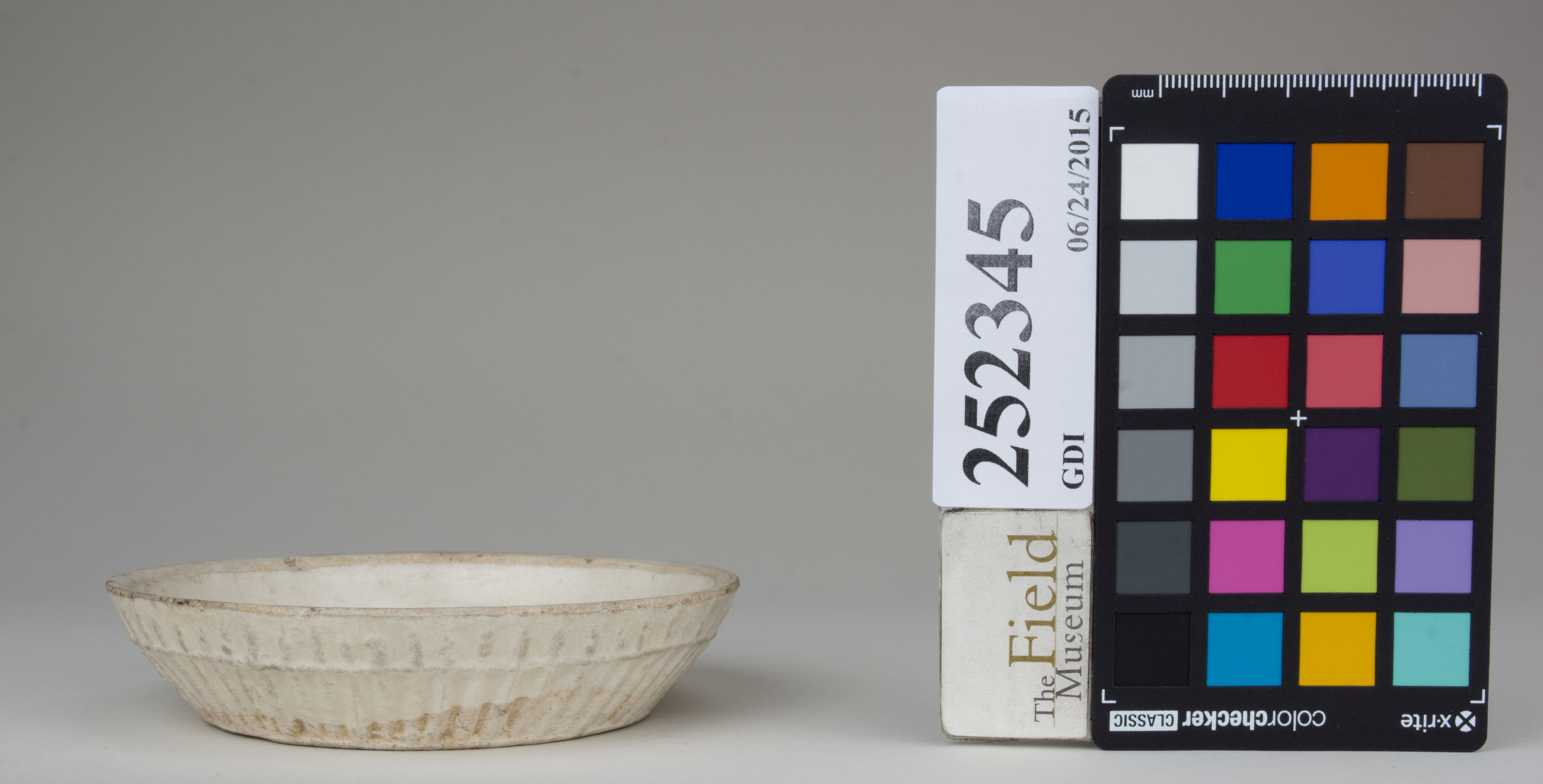 Right (c) Field Museum of Natural History - CC BY-NC 4.0