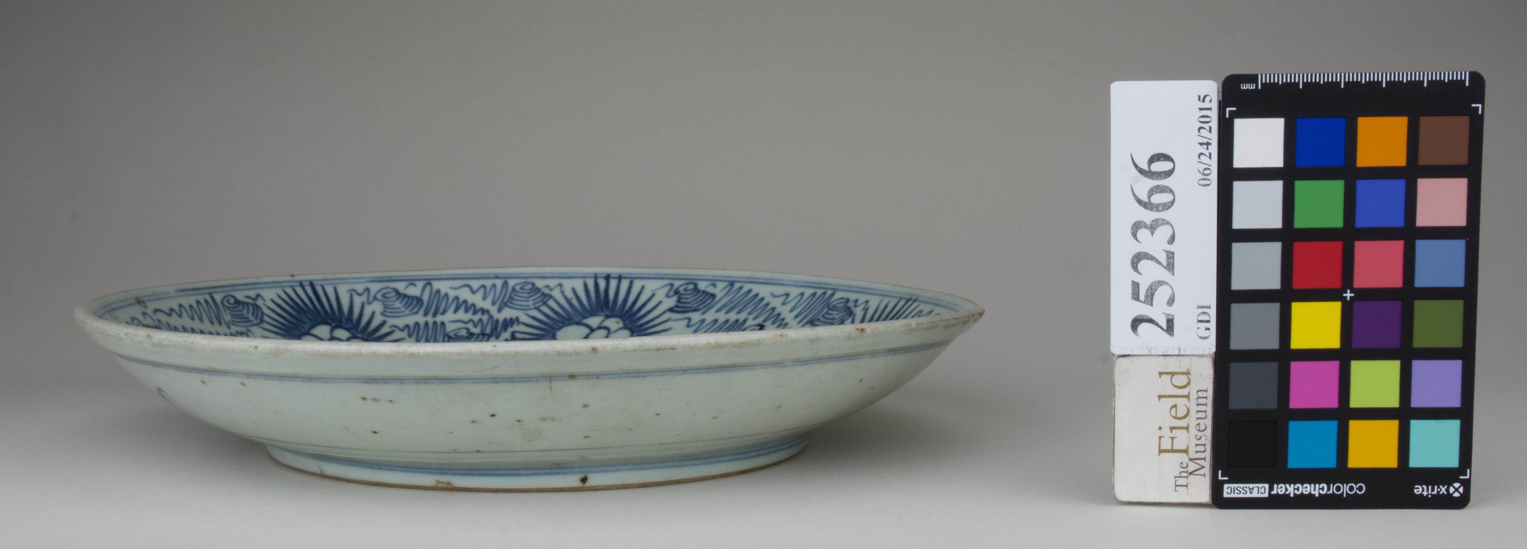 reference image, back (c) Field Museum of Natural History - CC BY-NC 4.0