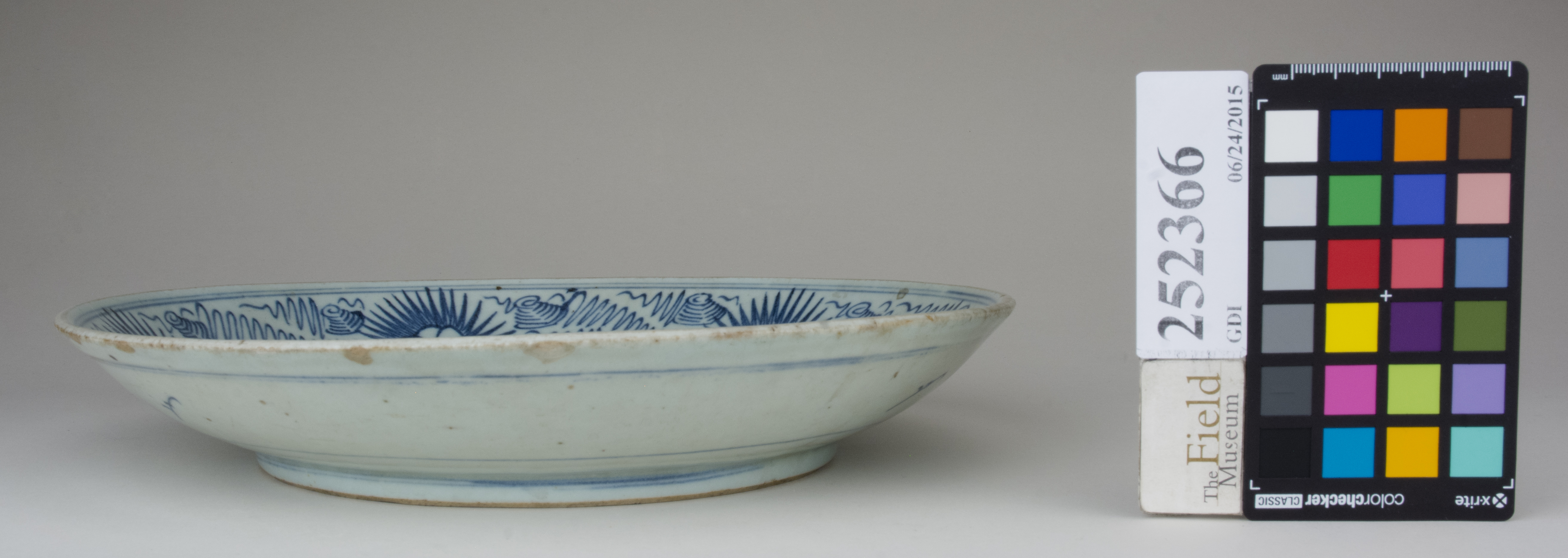 Front (c) Field Museum of Natural History - CC BY-NC 4.0