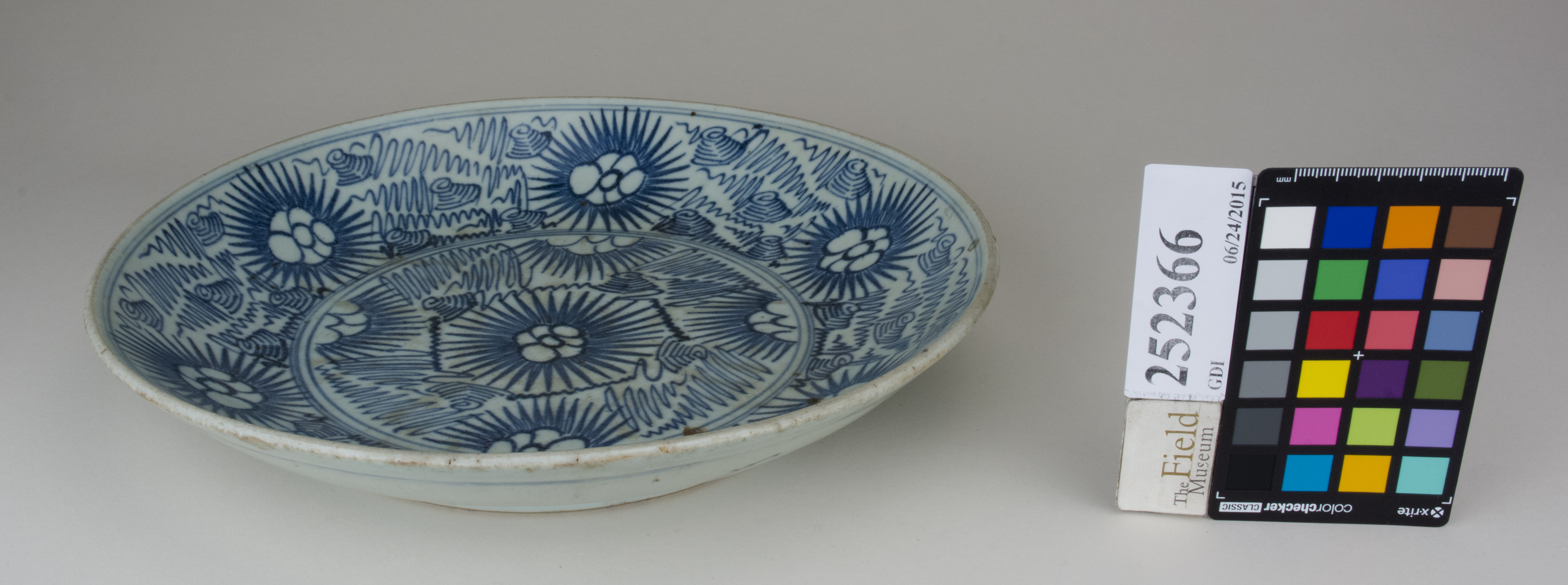 FrontAngle (c) Field Museum of Natural History - CC BY-NC 4.0