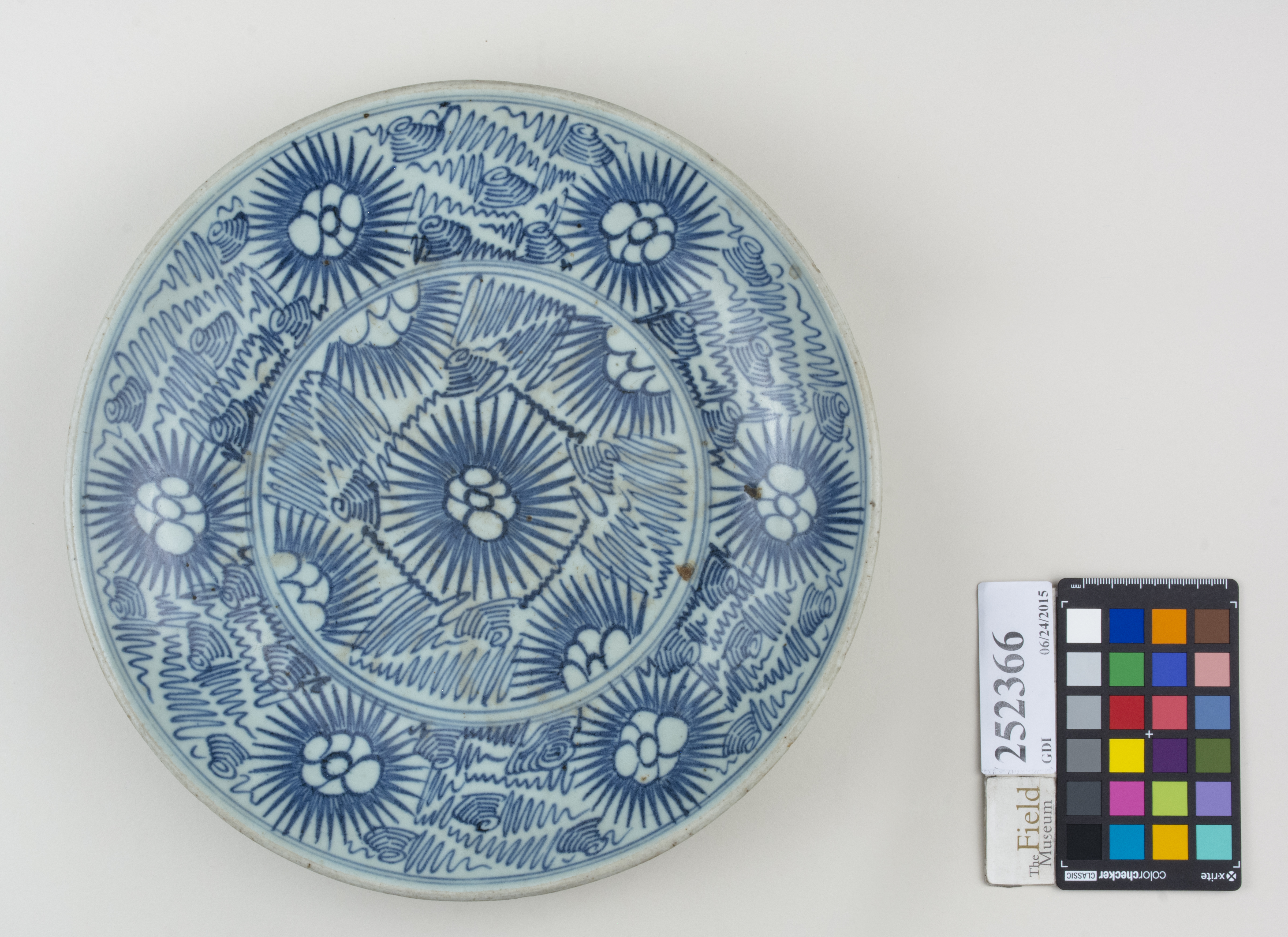 Top (c) Field Museum of Natural History - CC BY-NC 4.0