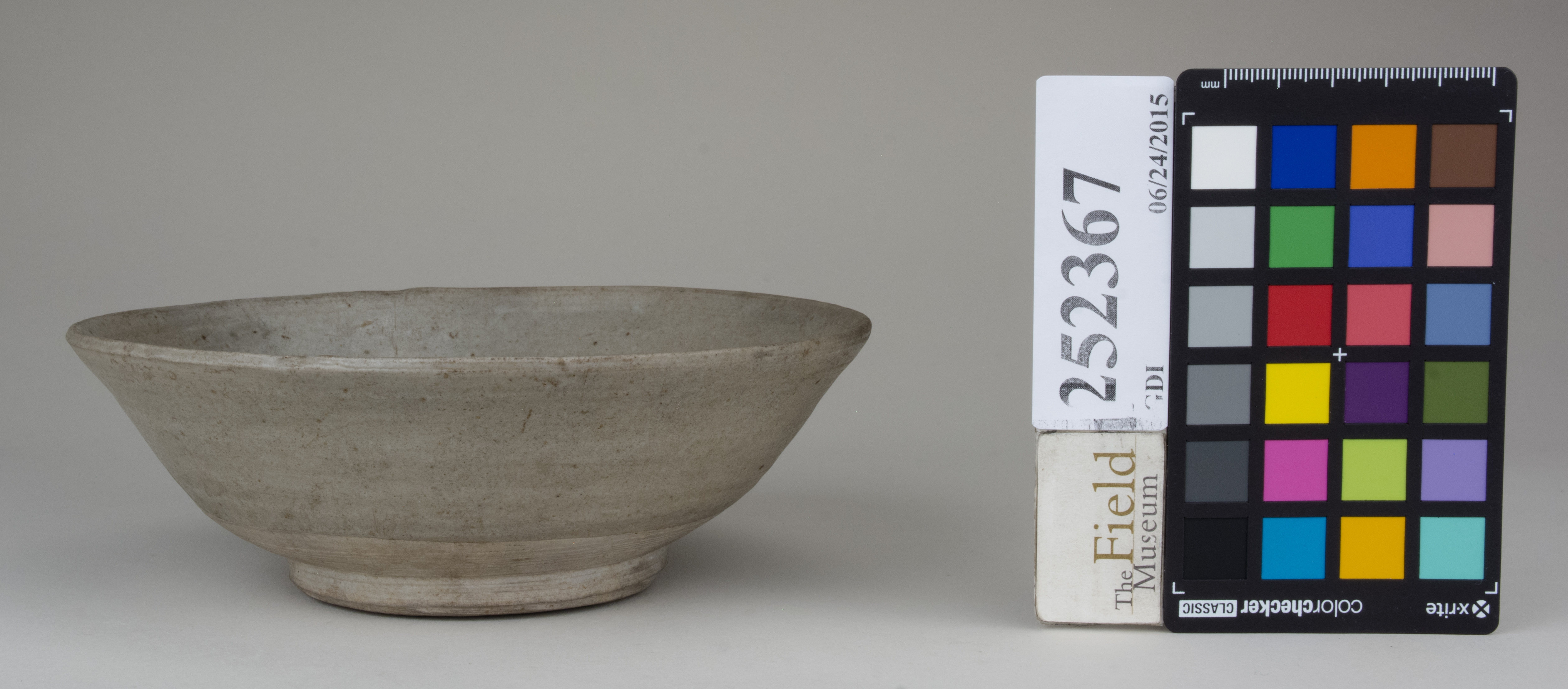 reference image, back (c) Field Museum of Natural History - CC BY-NC 4.0