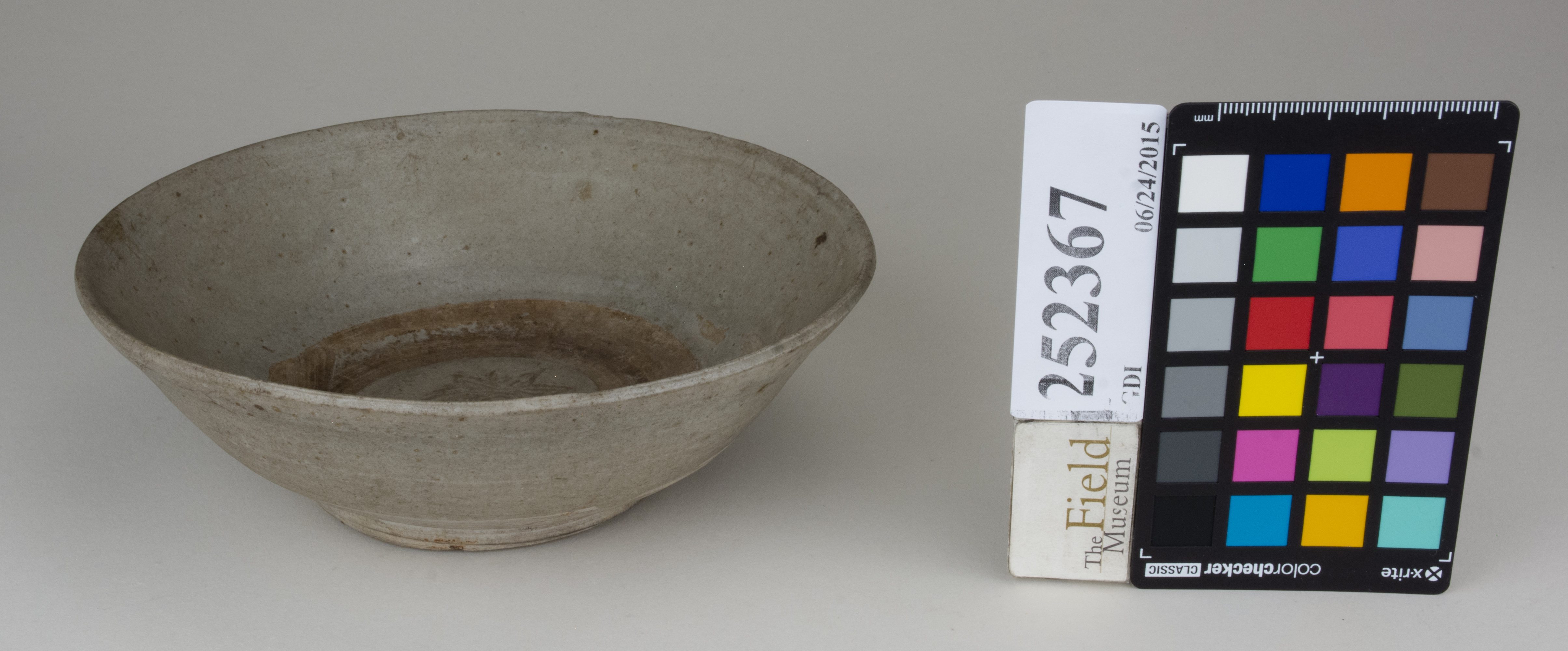 FrontAngle (c) Field Museum of Natural History - CC BY-NC 4.0