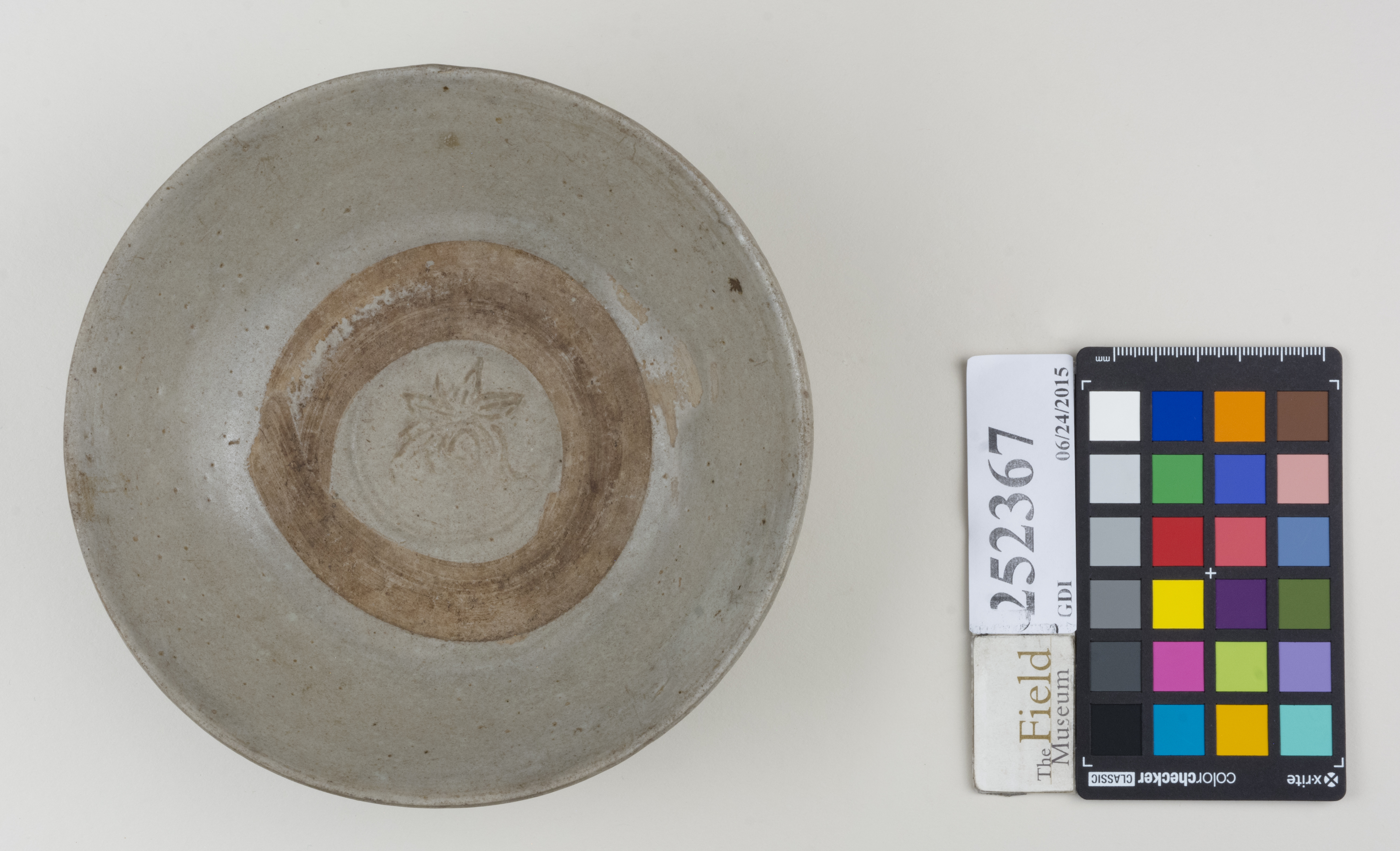 Top (c) Field Museum of Natural History - CC BY-NC 4.0