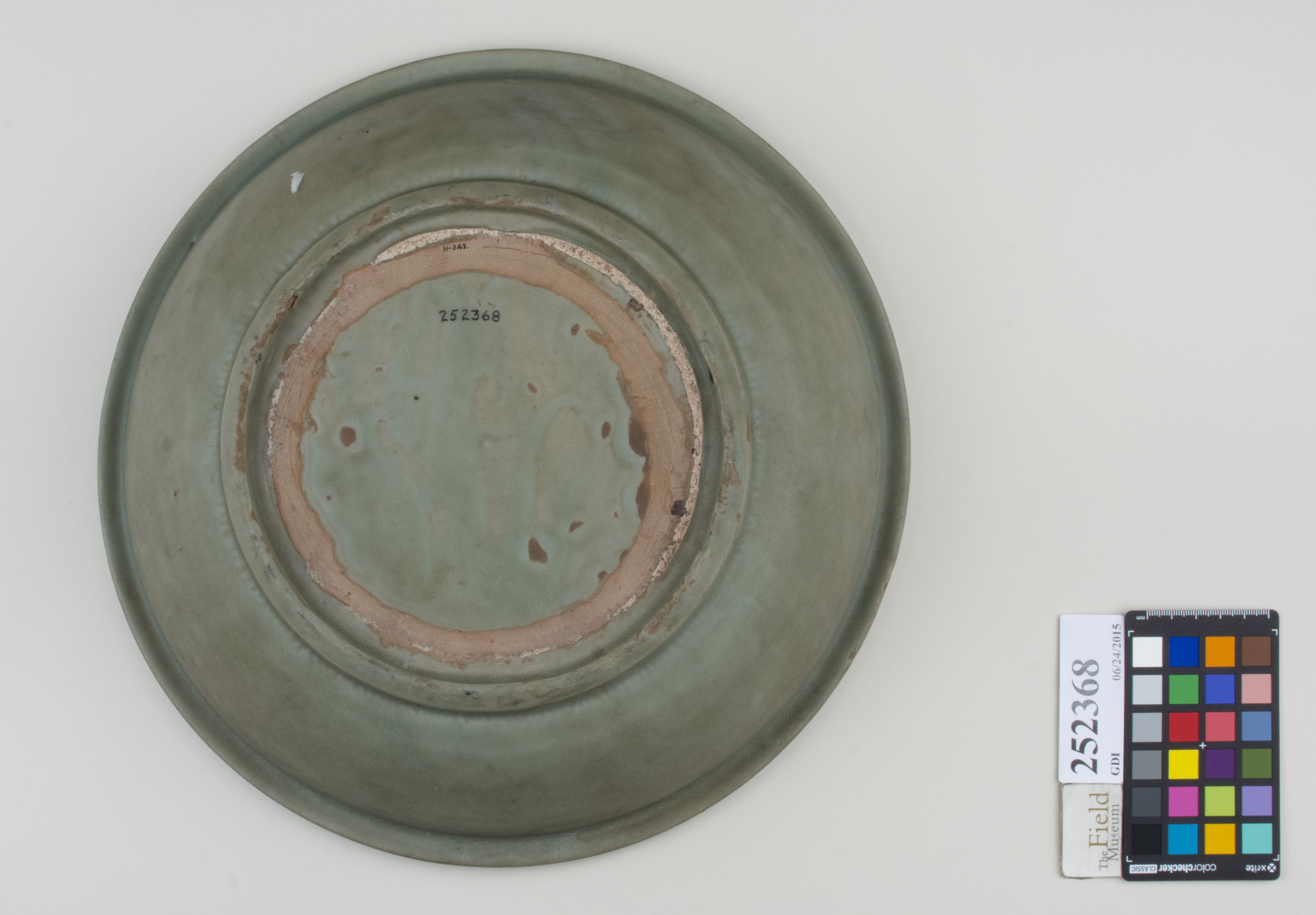 Bottom (c) Field Museum of Natural History - CC BY-NC 4.0