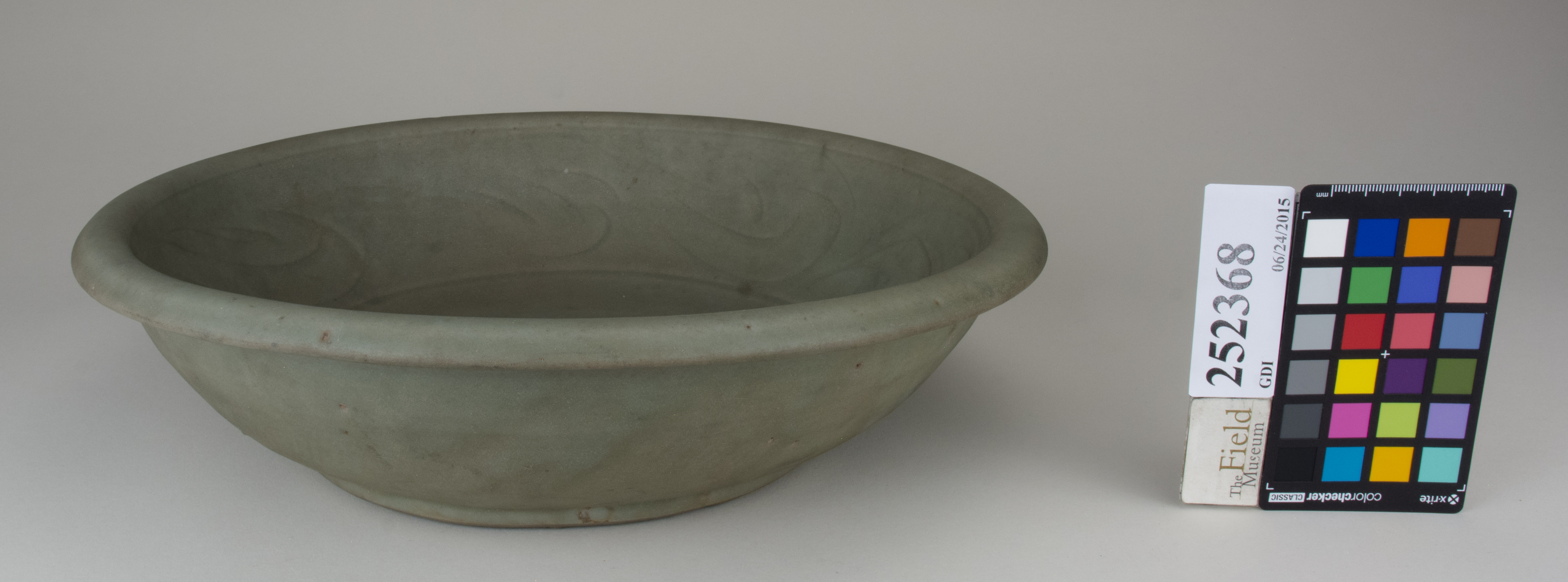 FrontAngle (c) Field Museum of Natural History - CC BY-NC 4.0