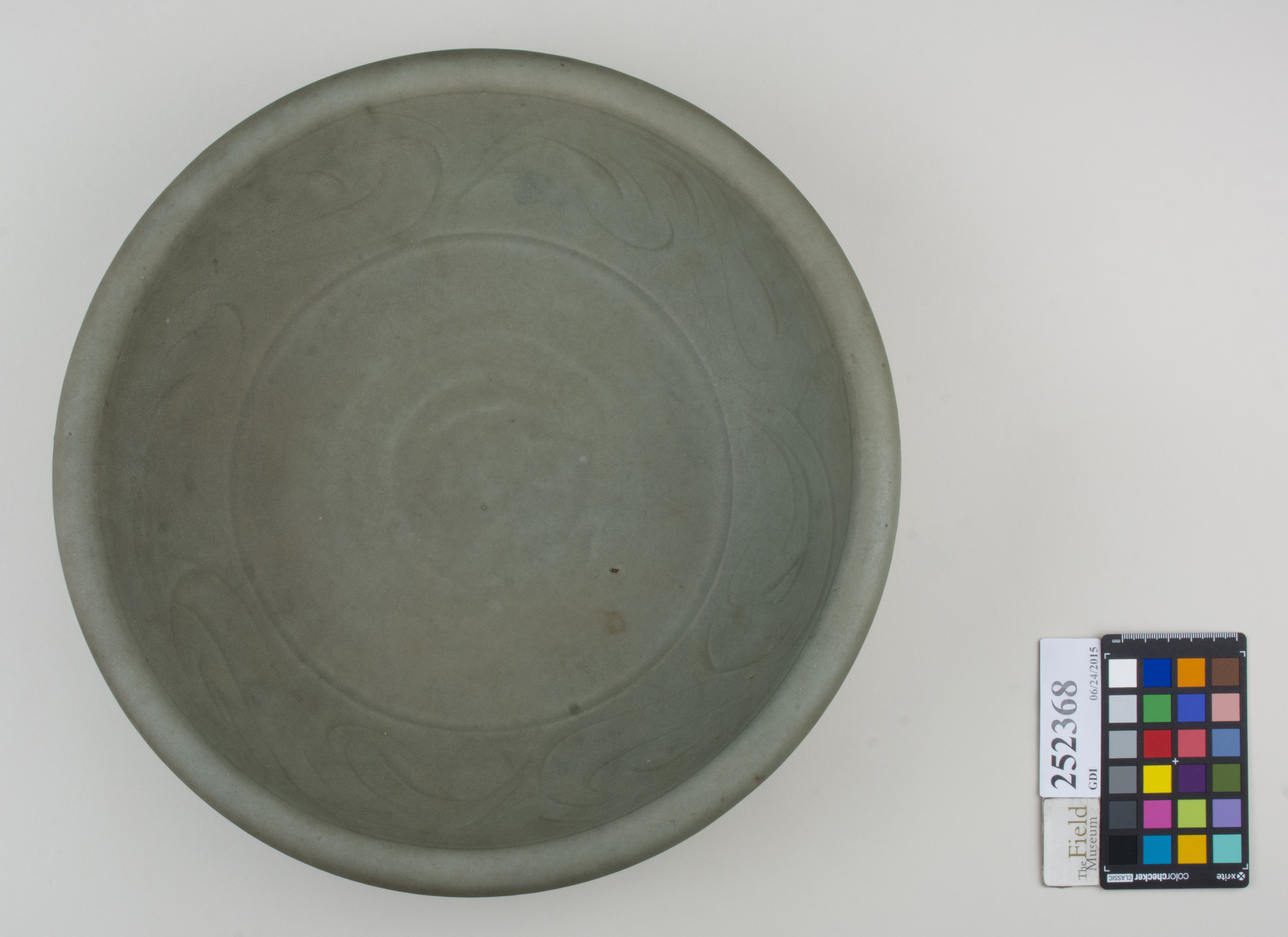 Top (c) Field Museum of Natural History - CC BY-NC 4.0