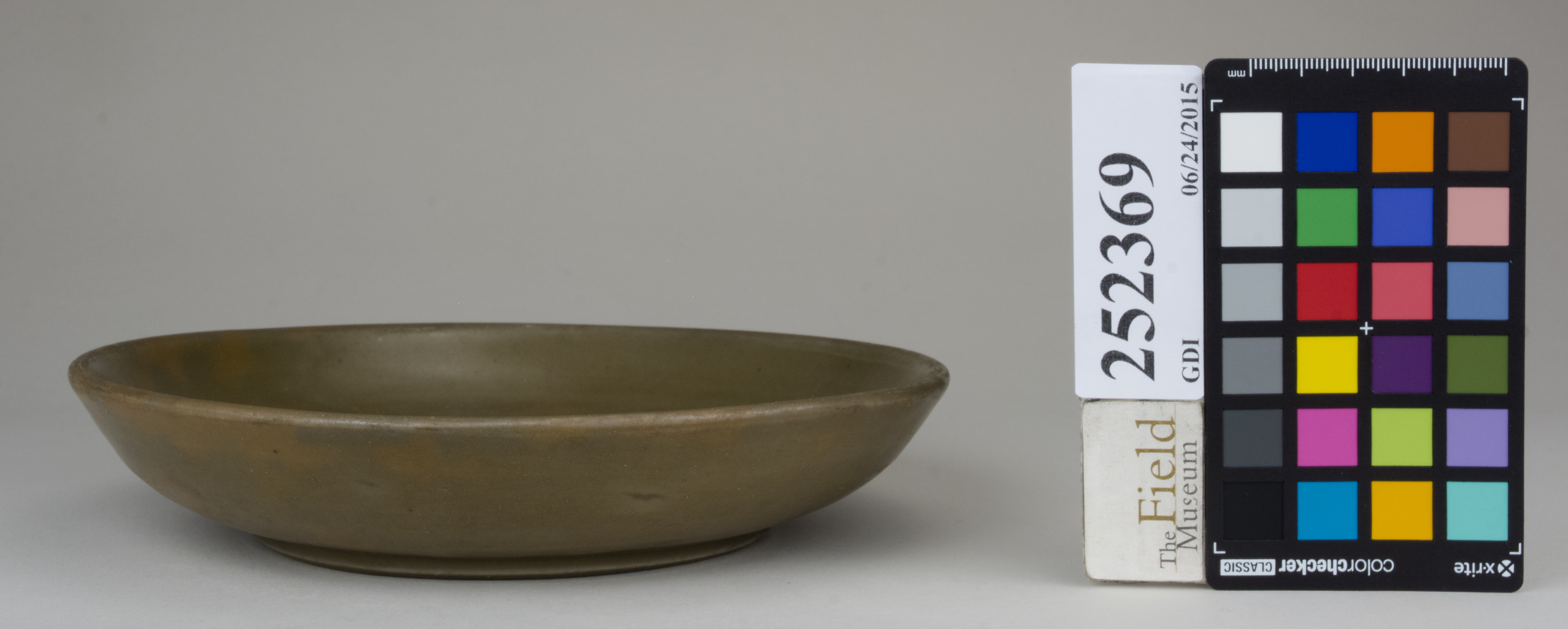 reference image, back (c) Field Museum of Natural History - CC BY-NC 4.0