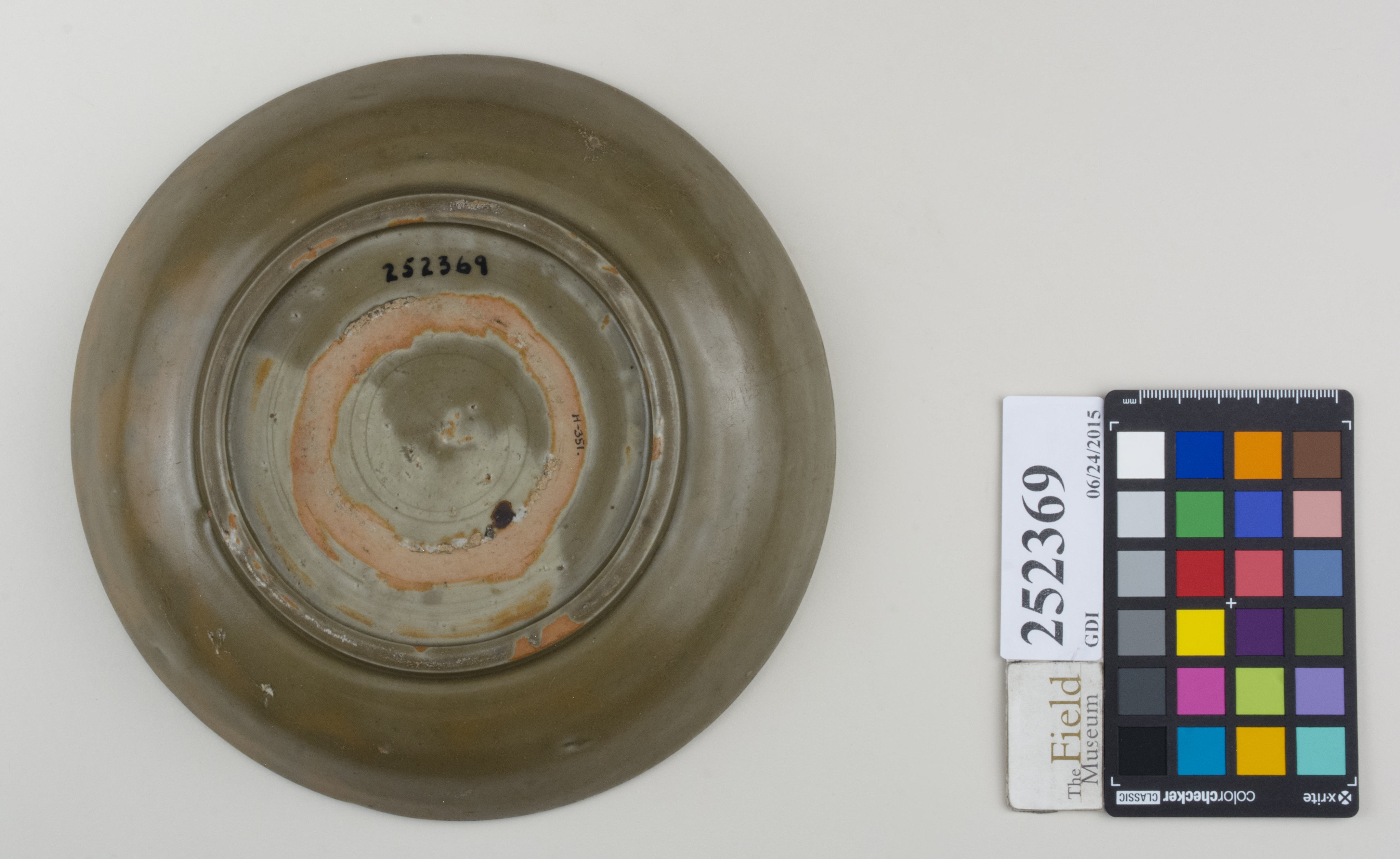 Bottom (c) Field Museum of Natural History - CC BY-NC 4.0