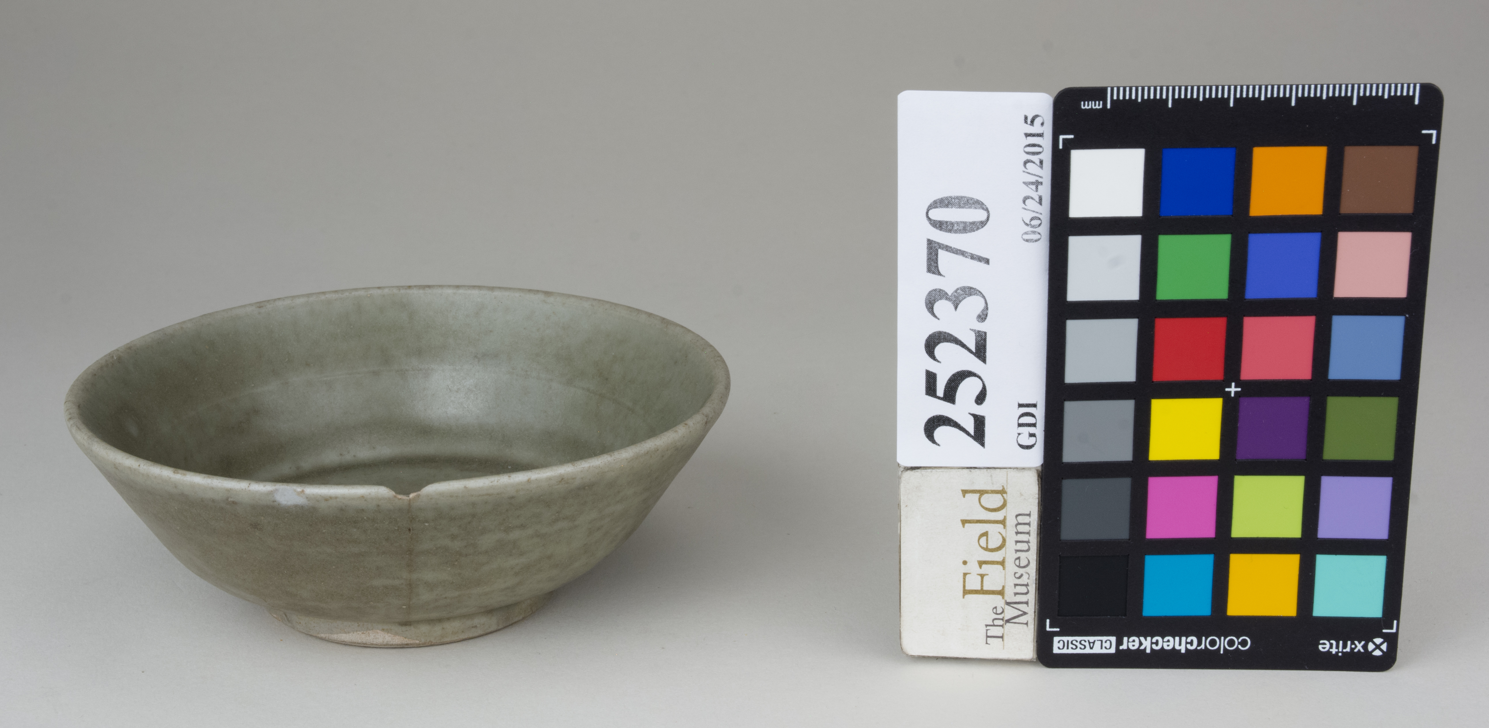 FrontAngle (c) Field Museum of Natural History - CC BY-NC 4.0