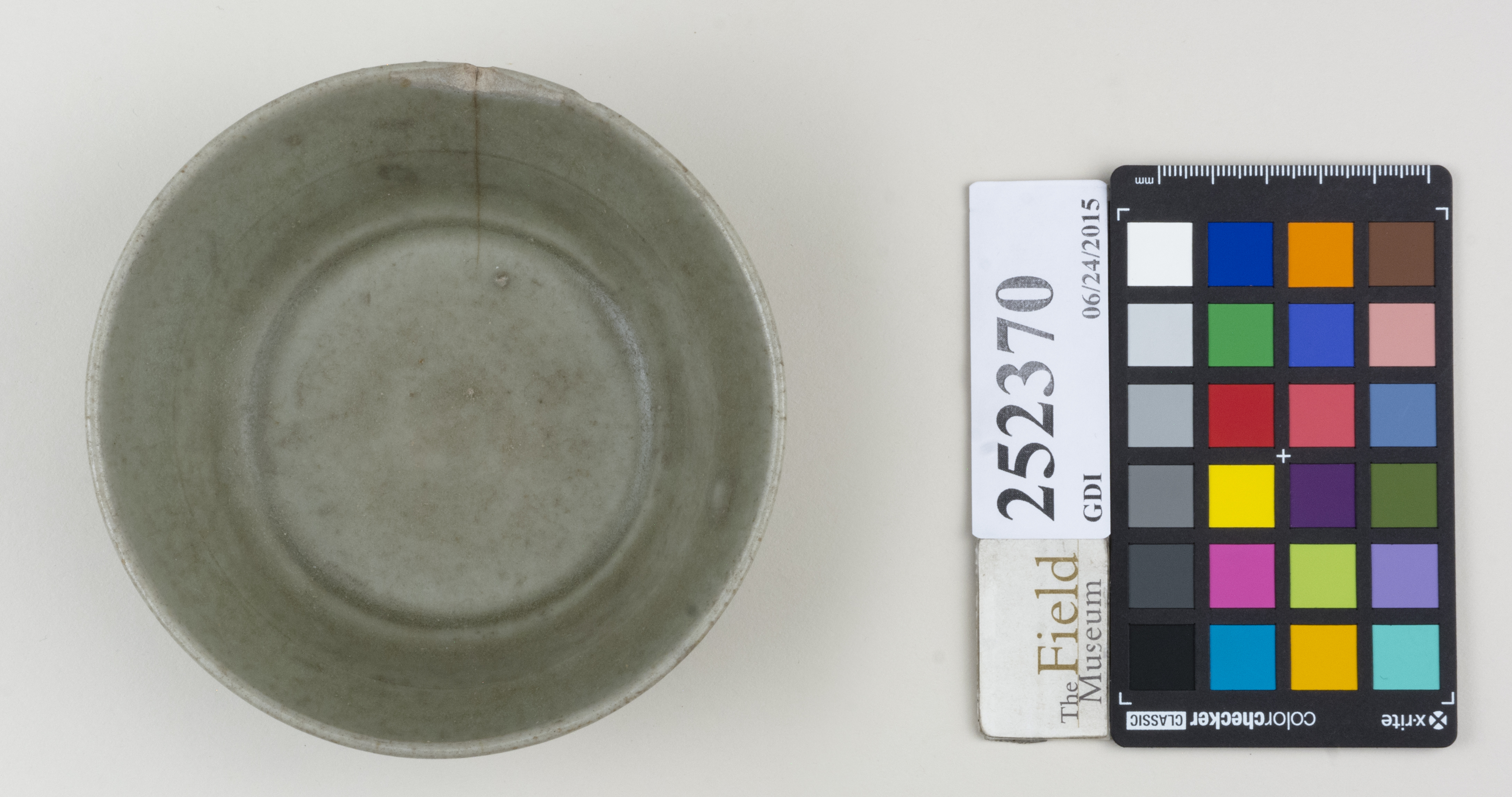 Top (c) Field Museum of Natural History - CC BY-NC 4.0