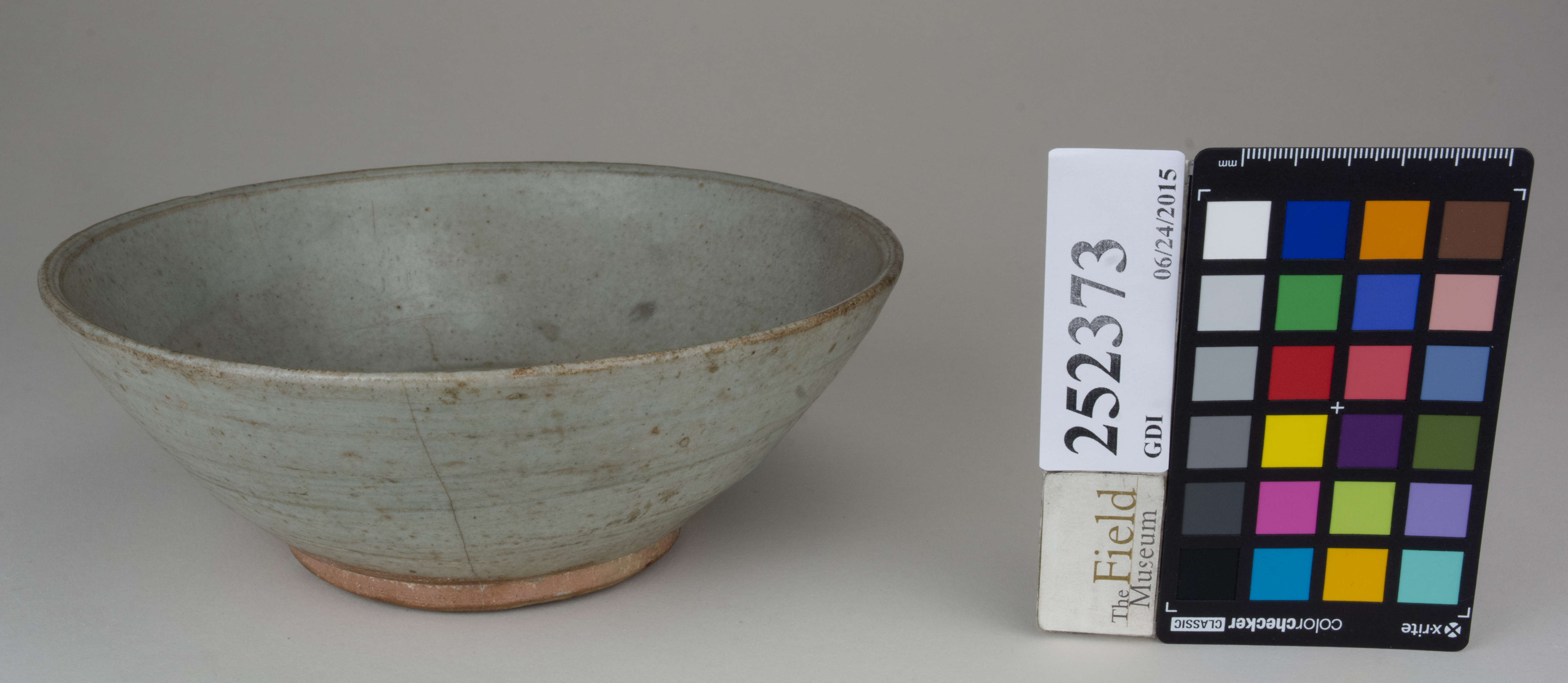 FrontAngle (c) Field Museum of Natural History - CC BY-NC 4.0