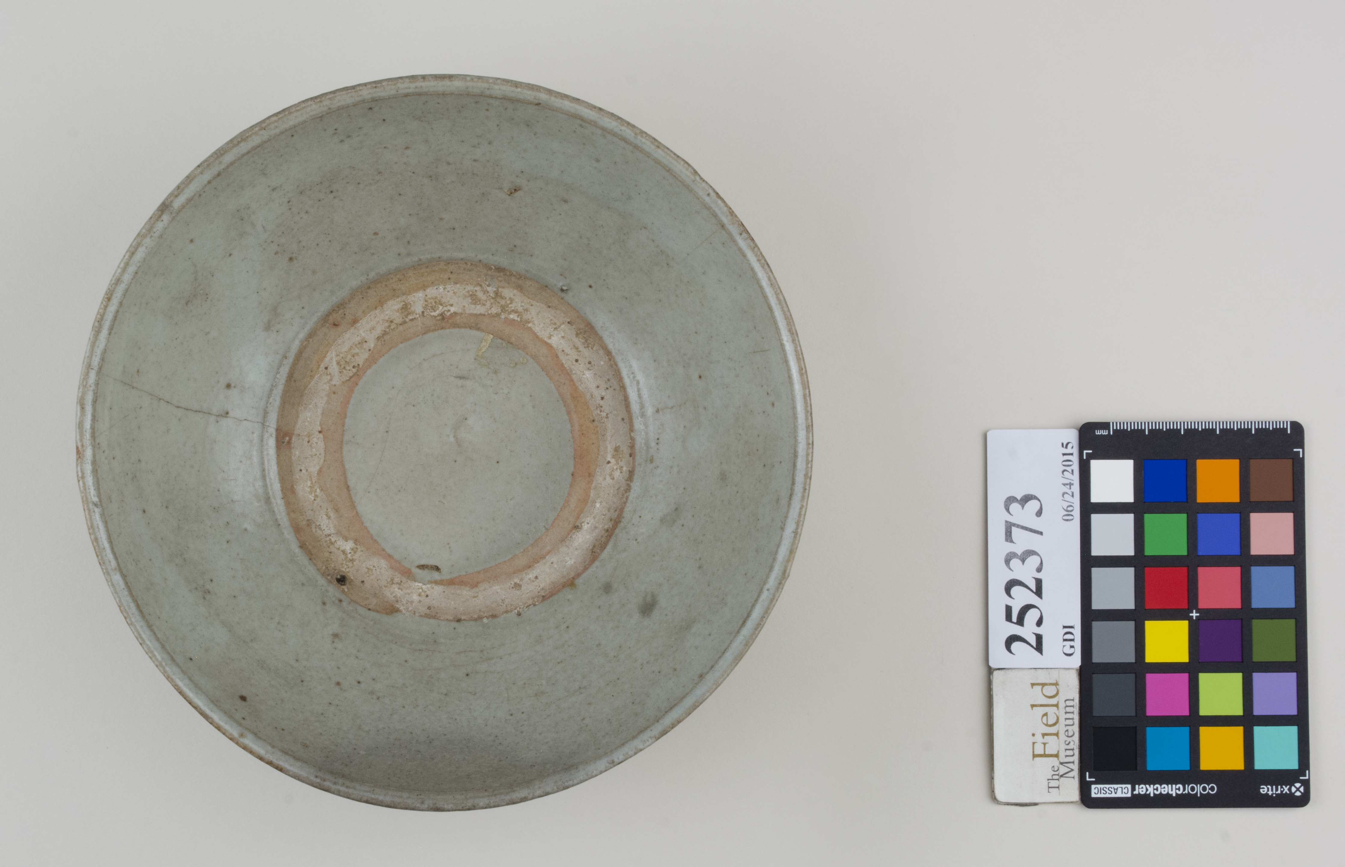 Top (c) Field Museum of Natural History - CC BY-NC 4.0