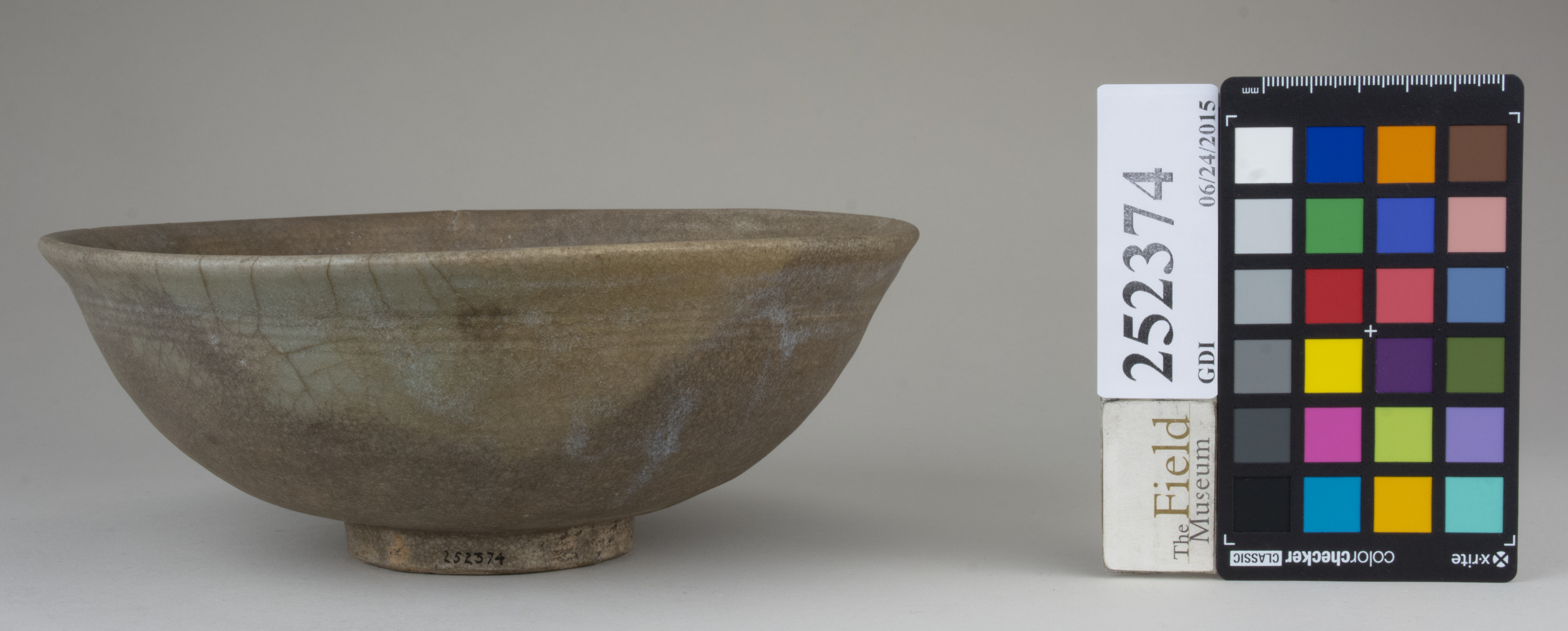 Front (c) Field Museum of Natural History - CC BY-NC 4.0