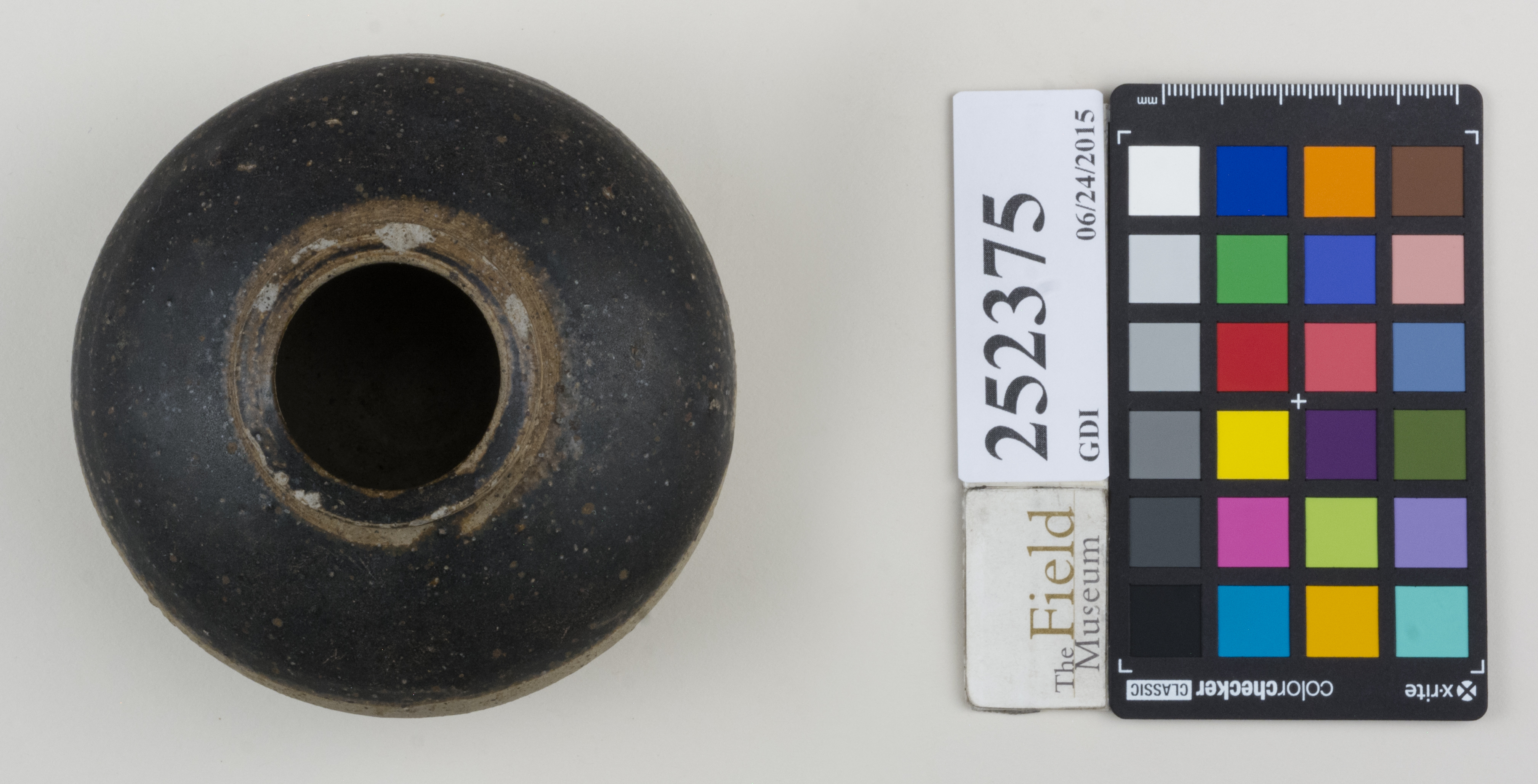 Top (c) Field Museum of Natural History - CC BY-NC 4.0