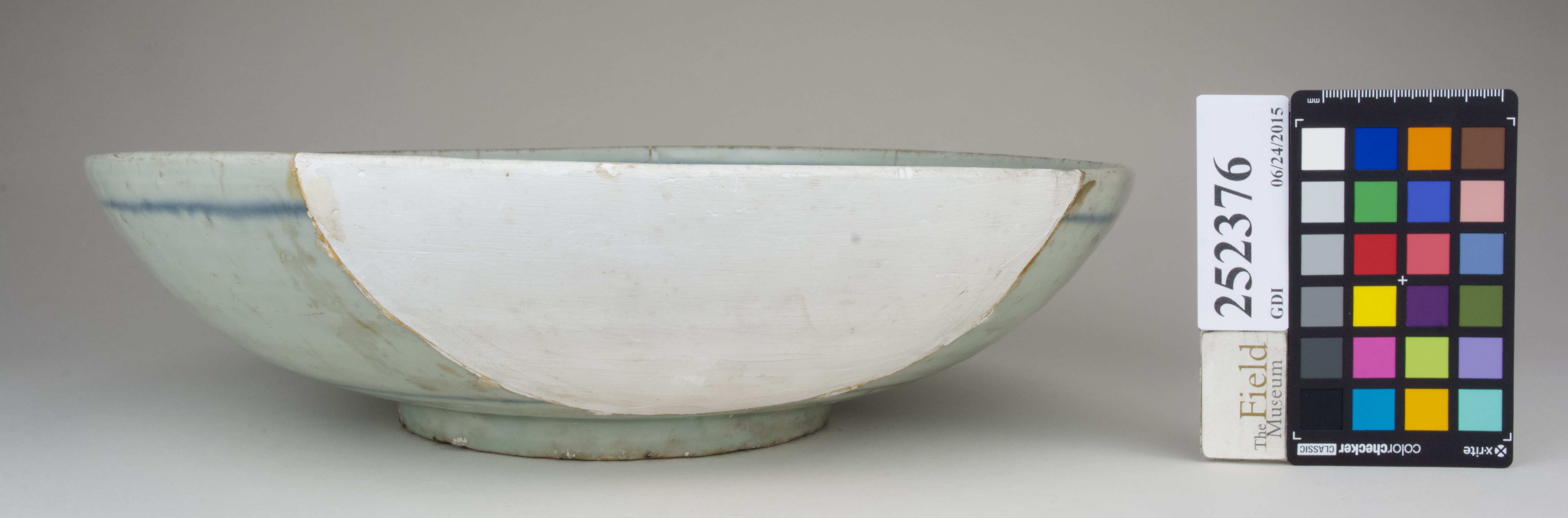 Right (c) Field Museum of Natural History - CC BY-NC 4.0