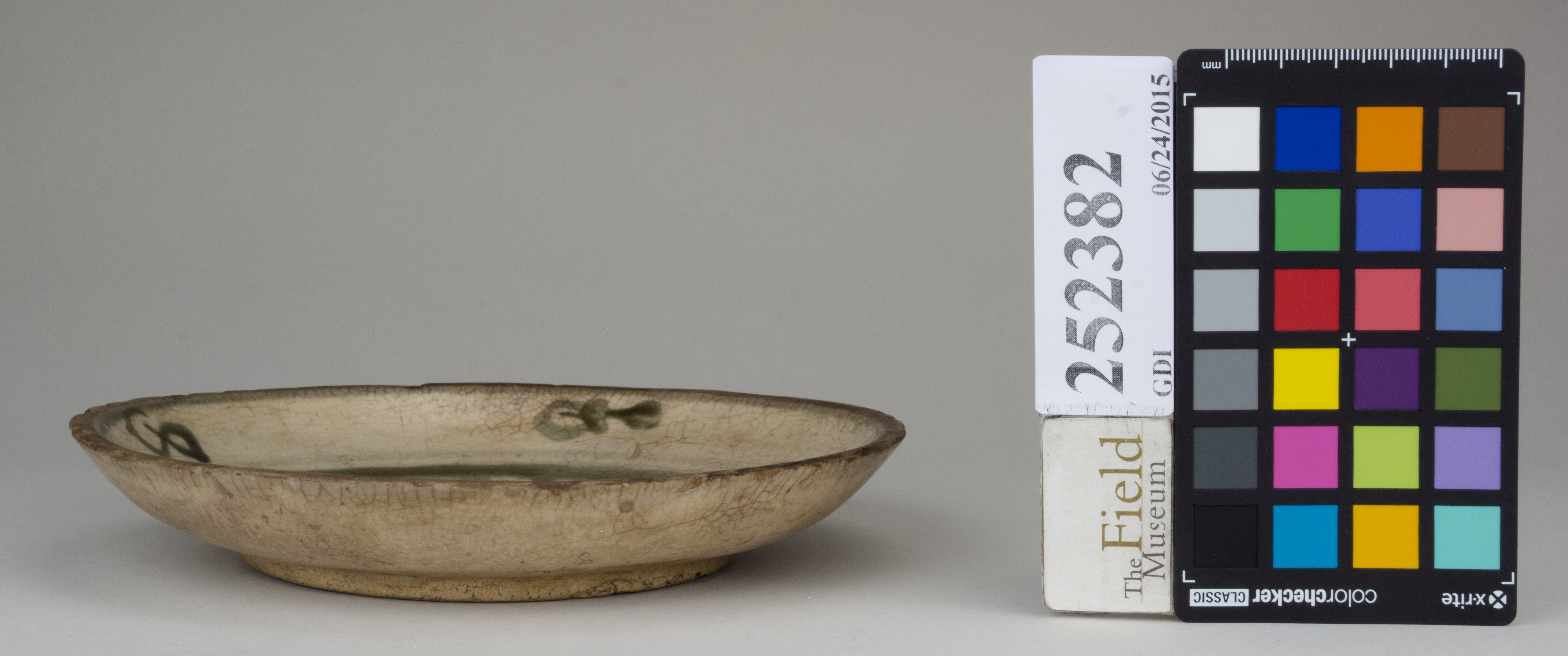 reference image, back (c) Field Museum of Natural History - CC BY-NC 4.0