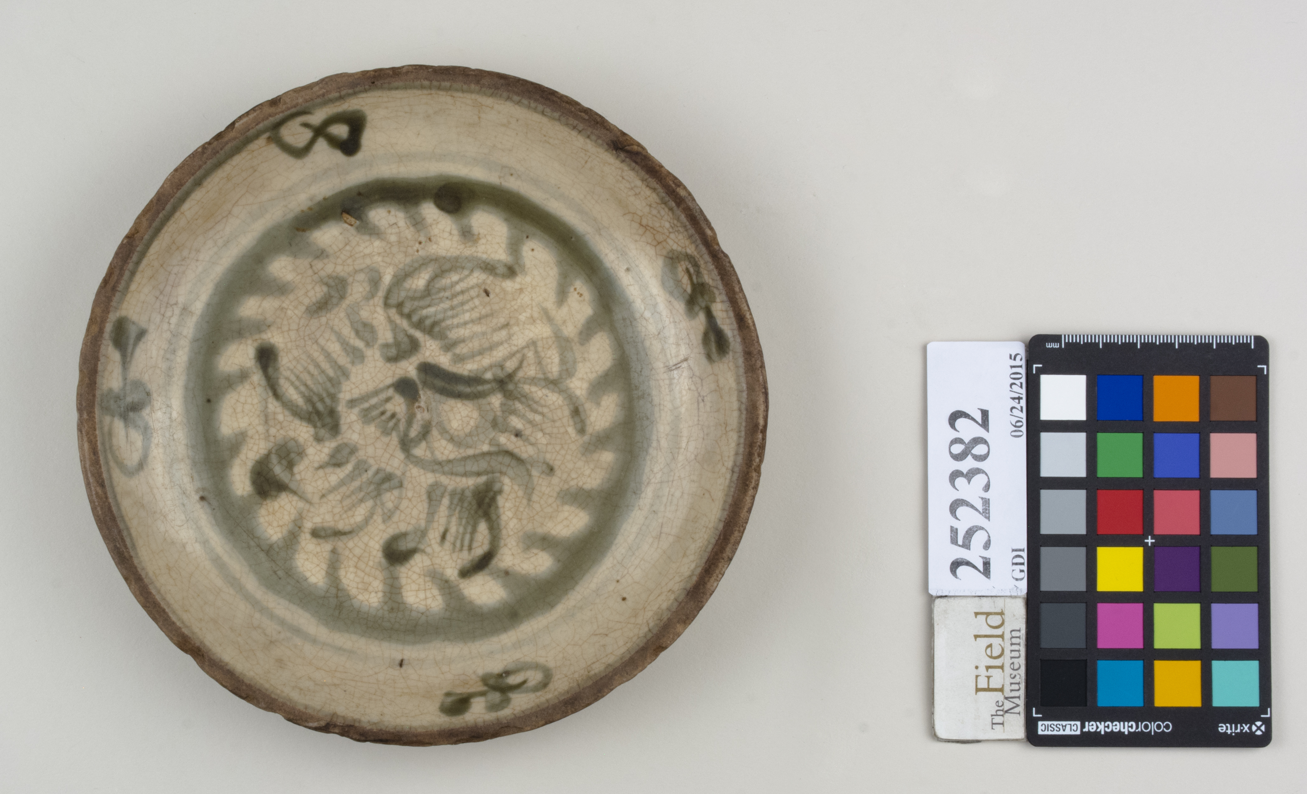 Top (c) Field Museum of Natural History - CC BY-NC 4.0