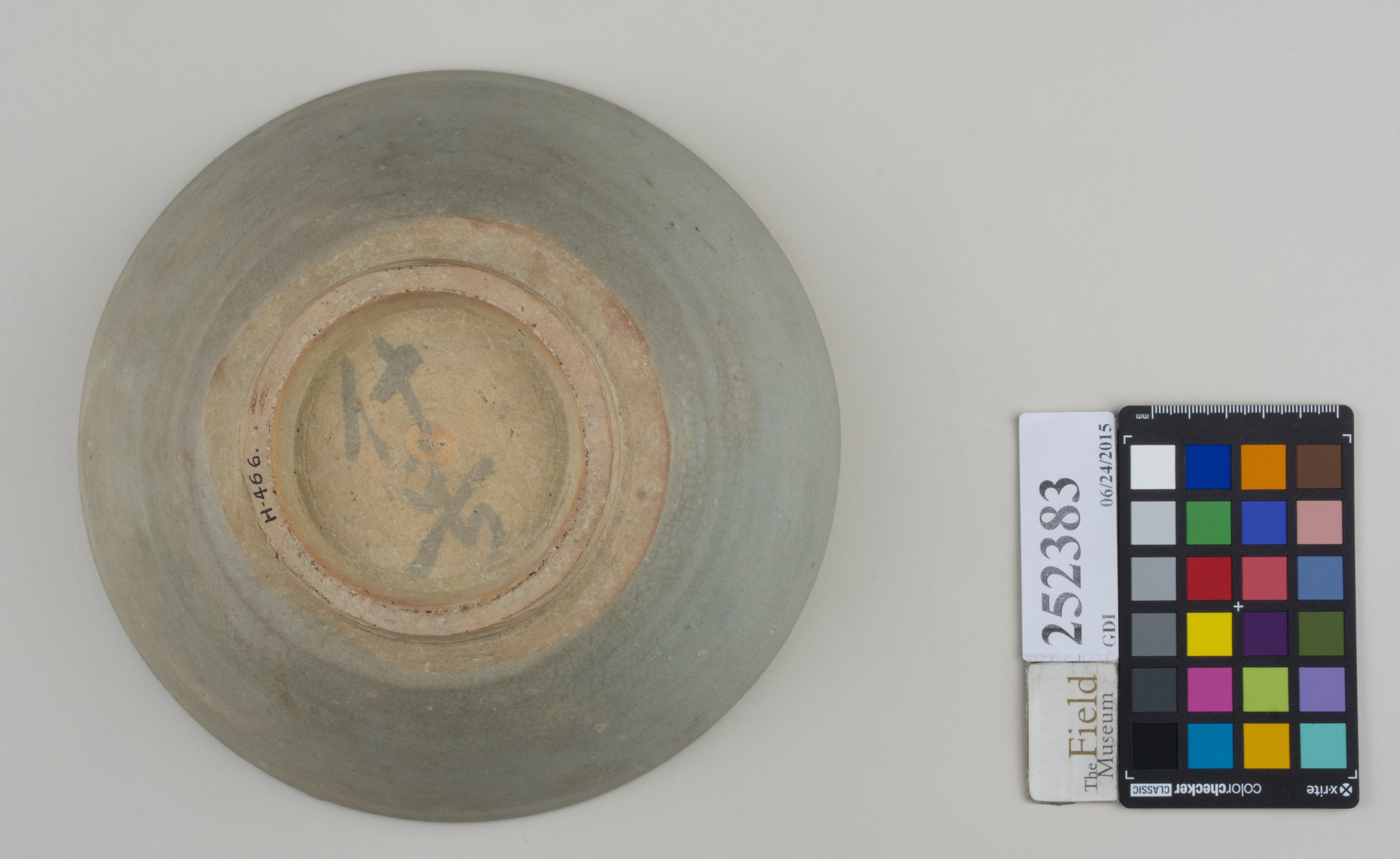 Bottom (c) Field Museum of Natural History - CC BY-NC 4.0