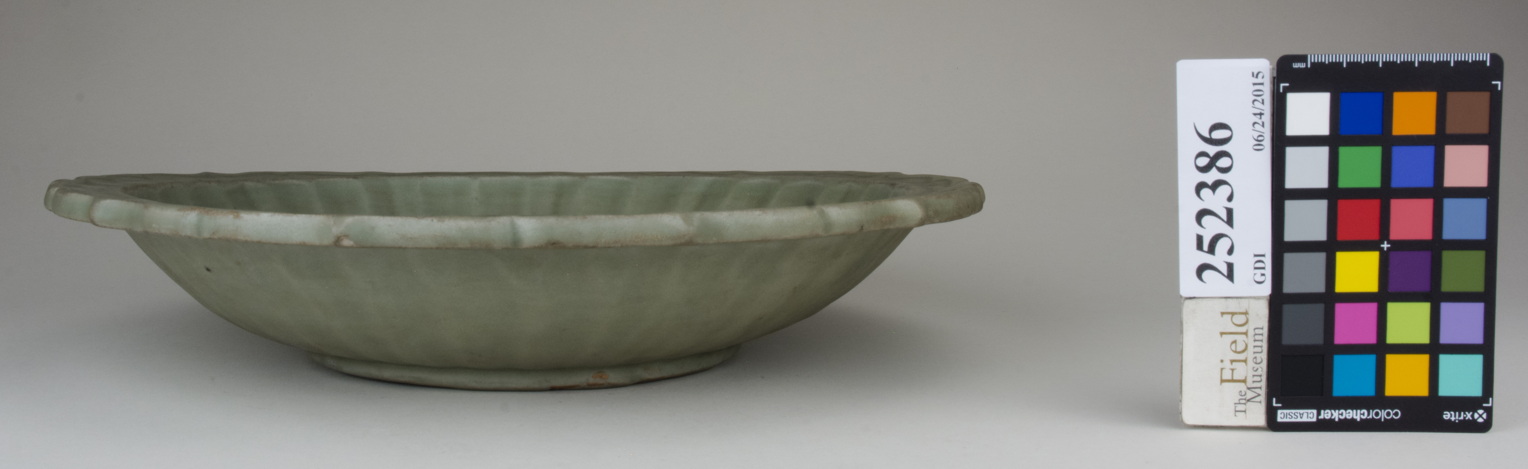 reference image, back (c) Field Museum of Natural History - CC BY-NC 4.0