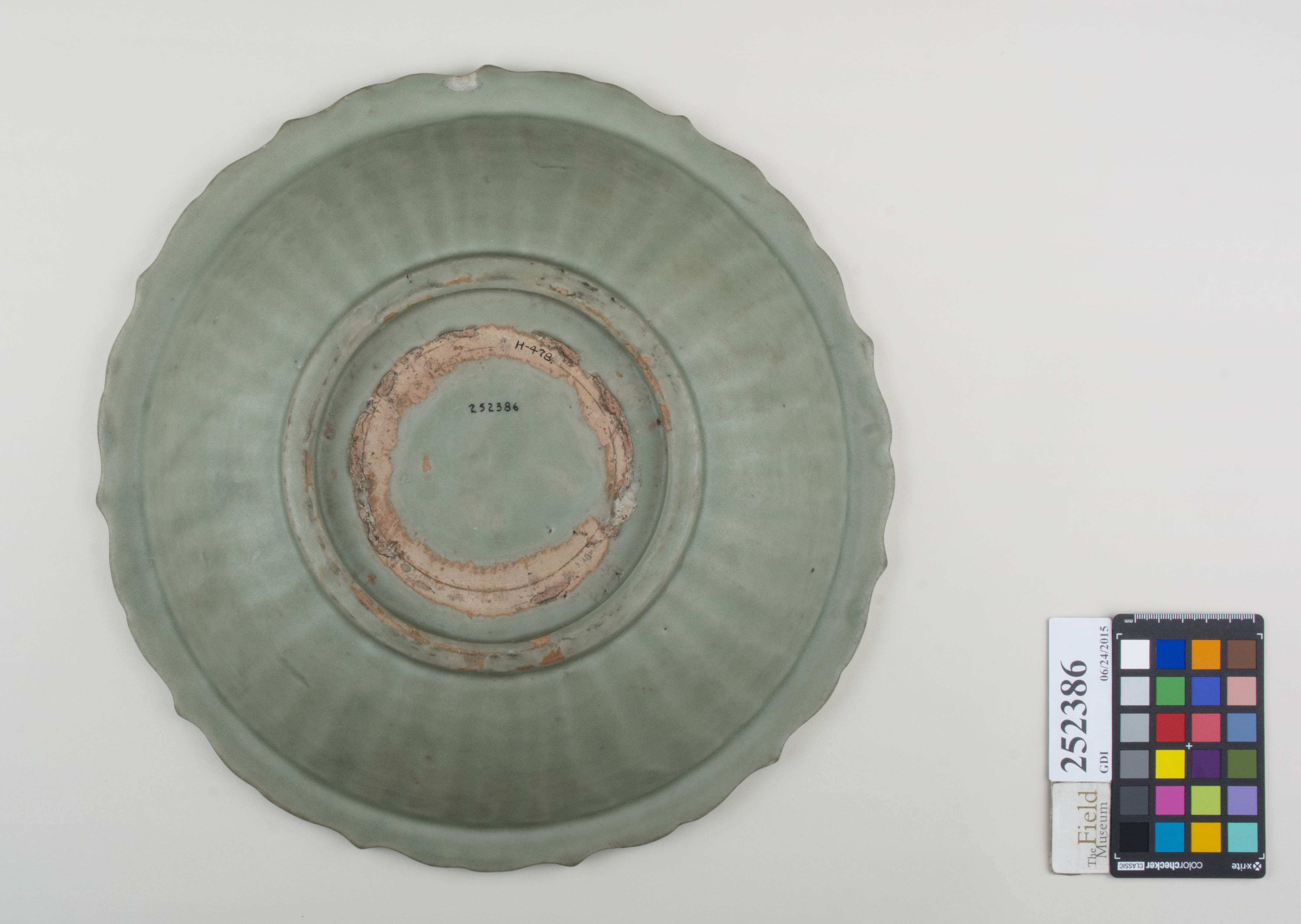 Bottom (c) Field Museum of Natural History - CC BY-NC 4.0