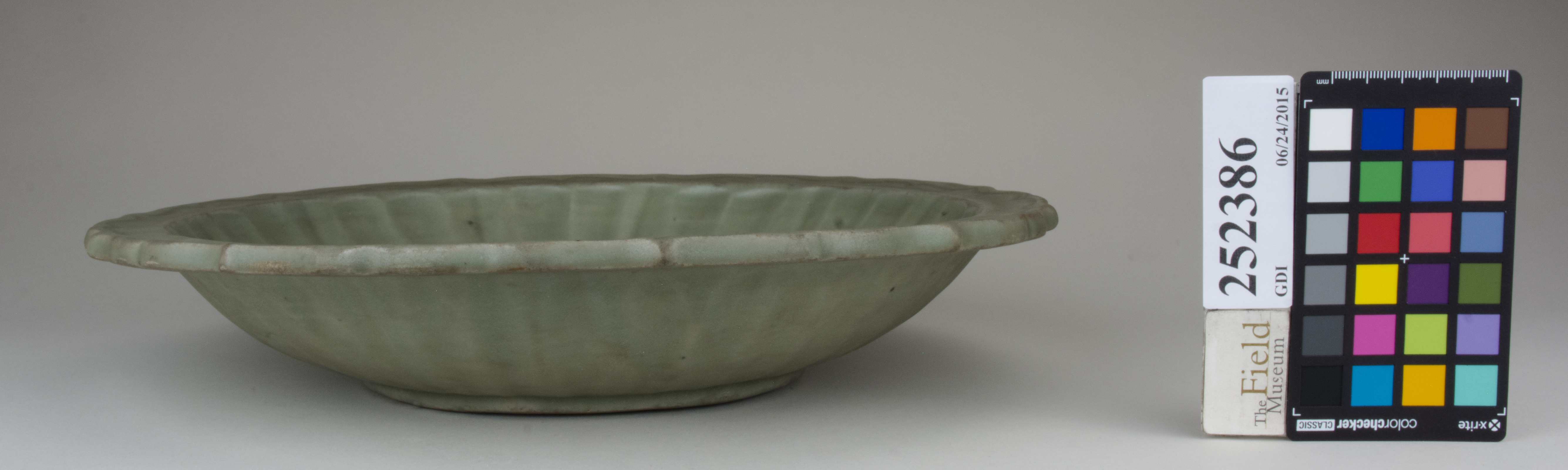 Left (c) Field Museum of Natural History - CC BY-NC 4.0