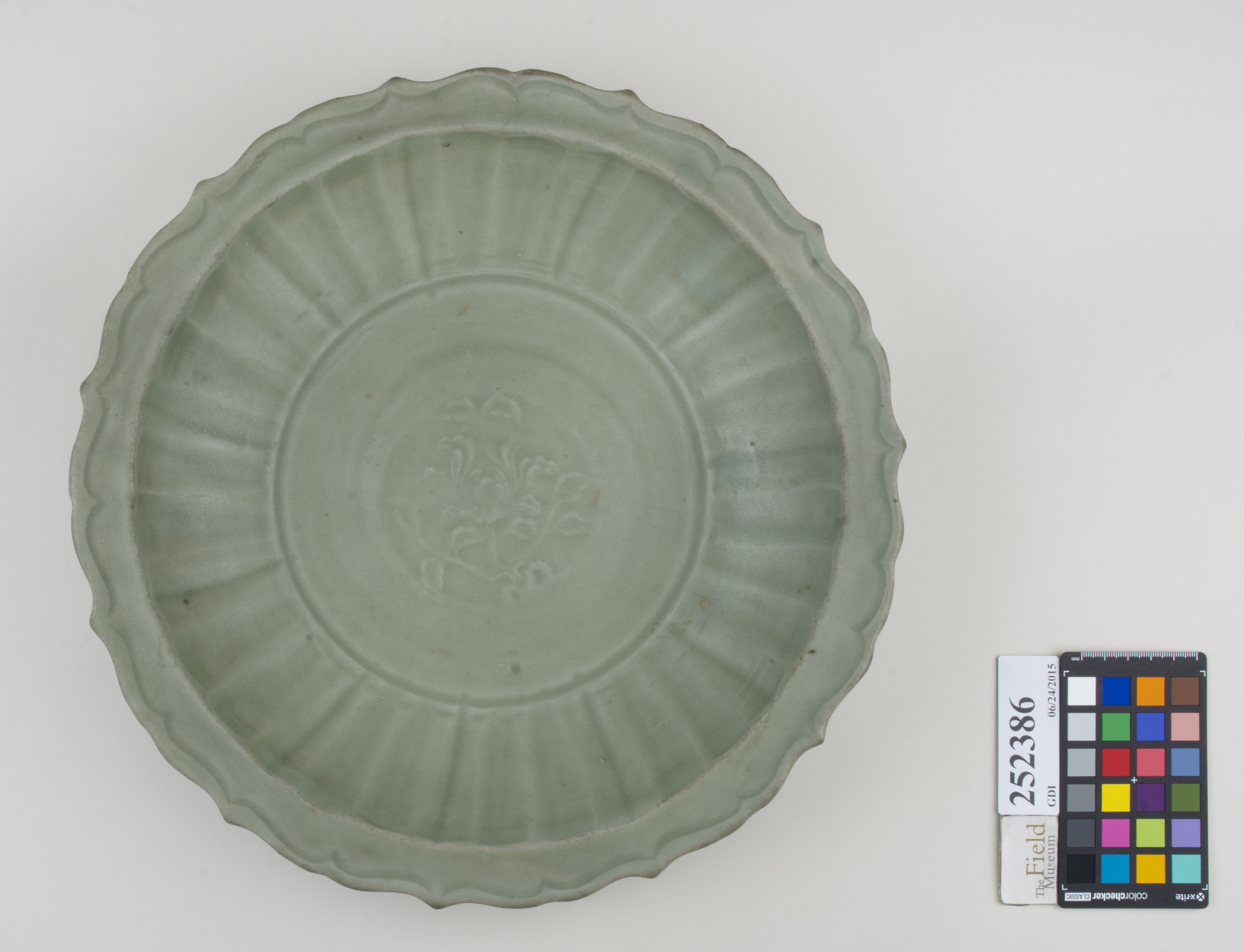 Top (c) Field Museum of Natural History - CC BY-NC 4.0