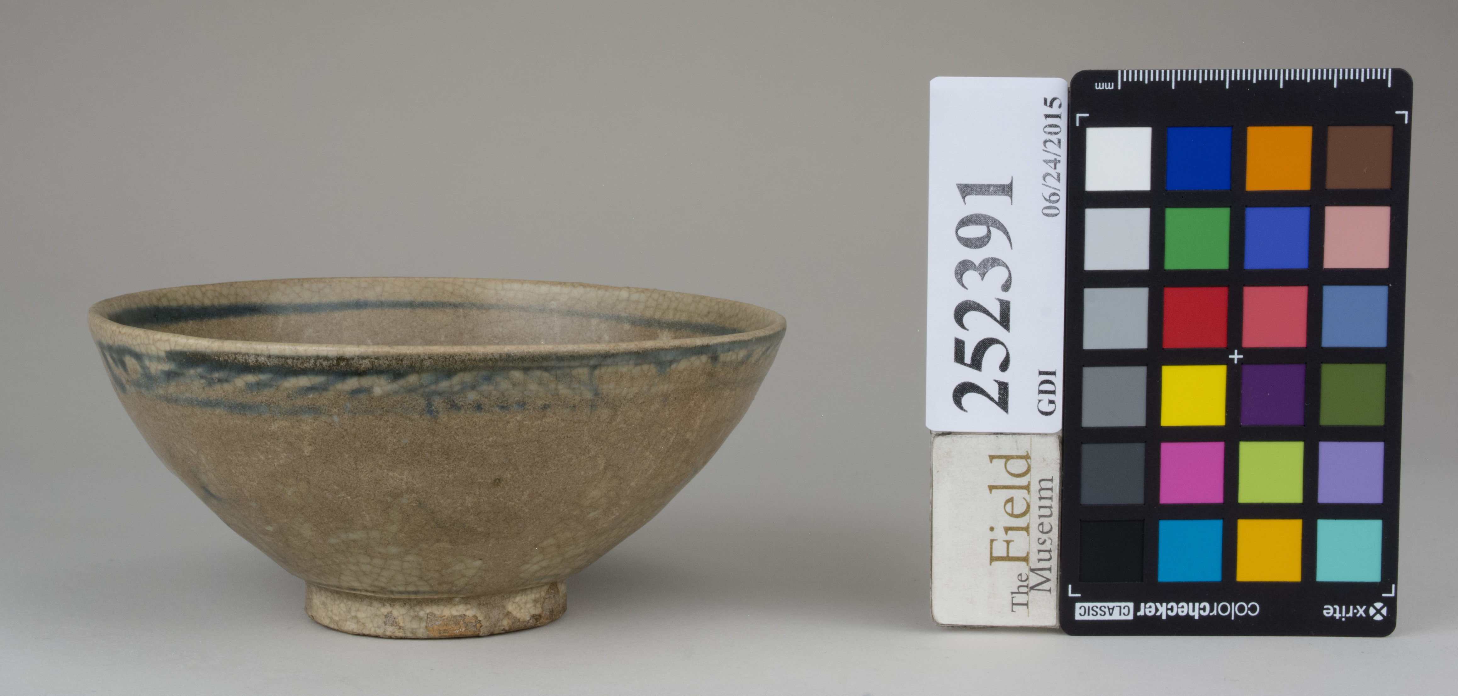 Front (c) Field Museum of Natural History - CC BY-NC 4.0