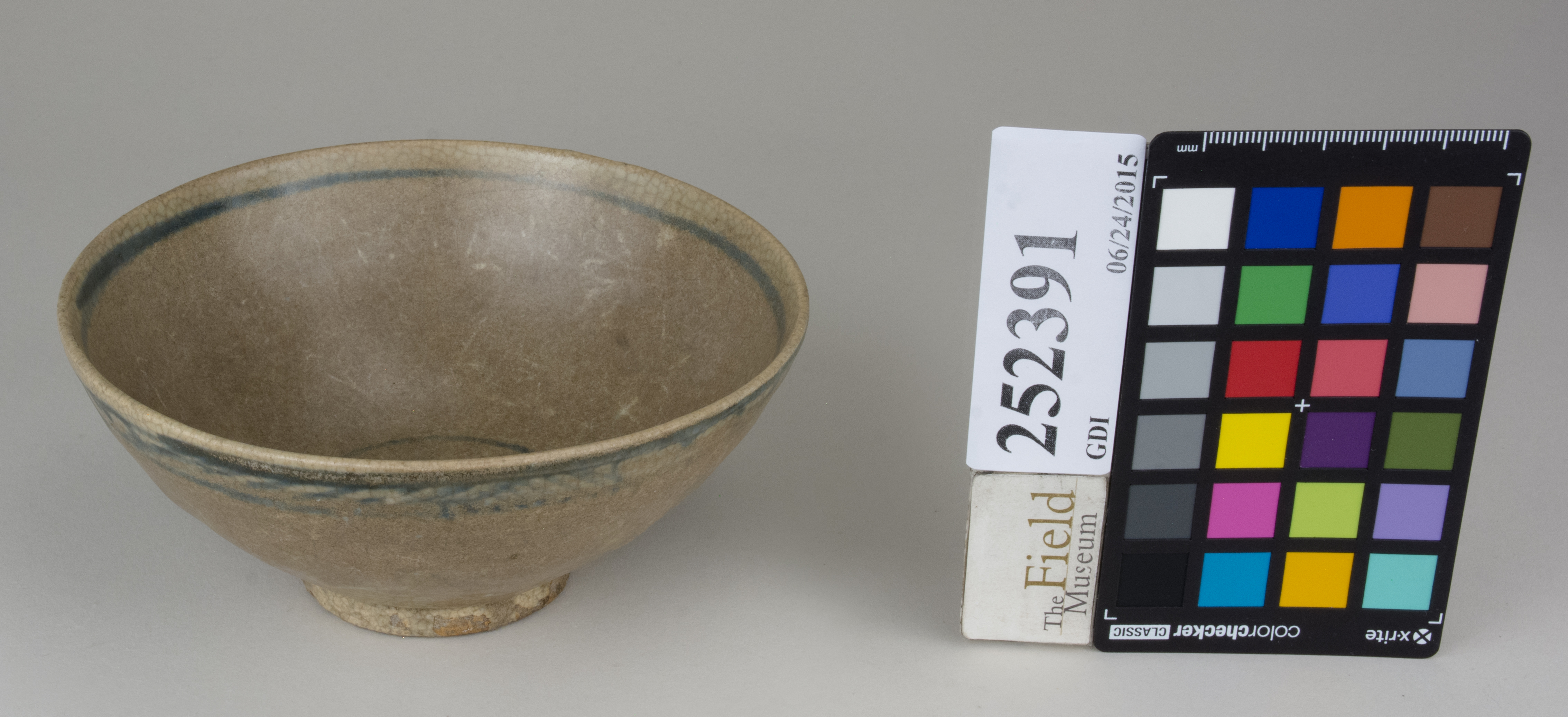 FrontAngle (c) Field Museum of Natural History - CC BY-NC 4.0