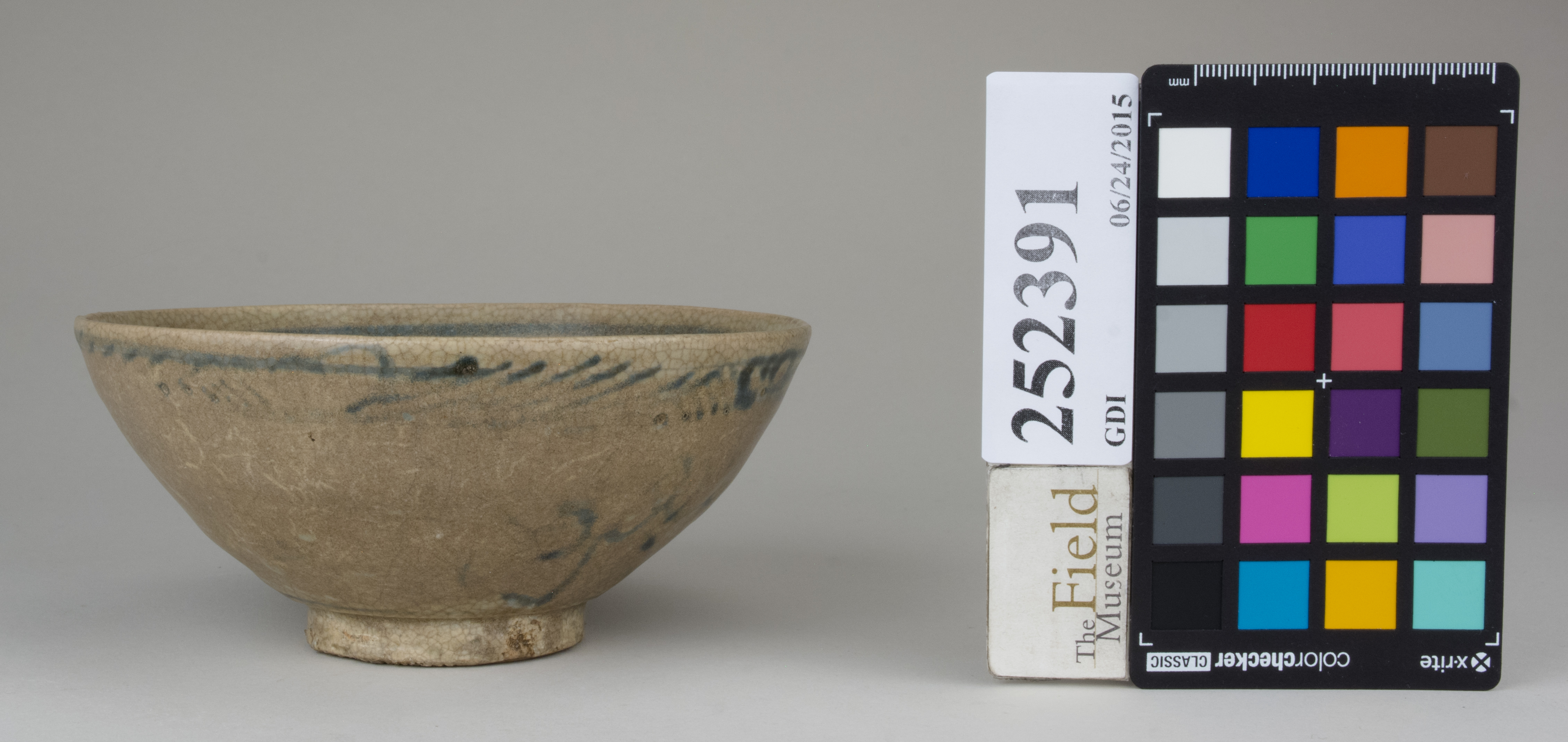 Right (c) Field Museum of Natural History - CC BY-NC 4.0